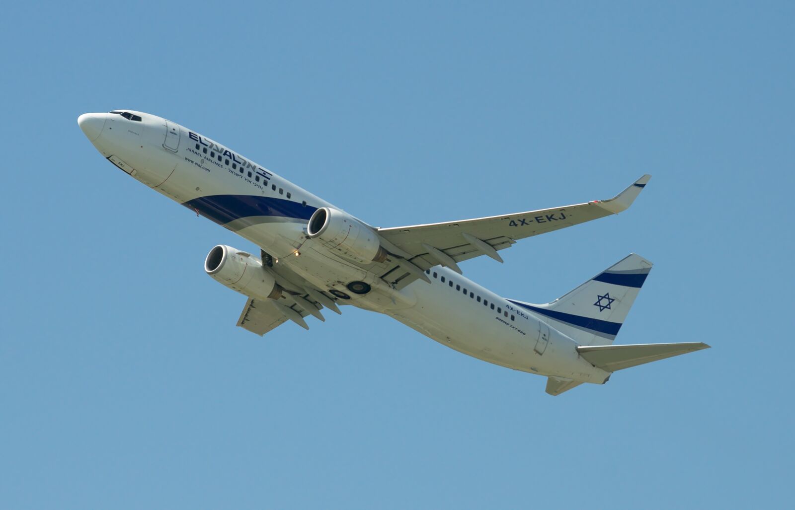 Nikon D300S sample photo. Aircraft, boeing 737-800, el photography
