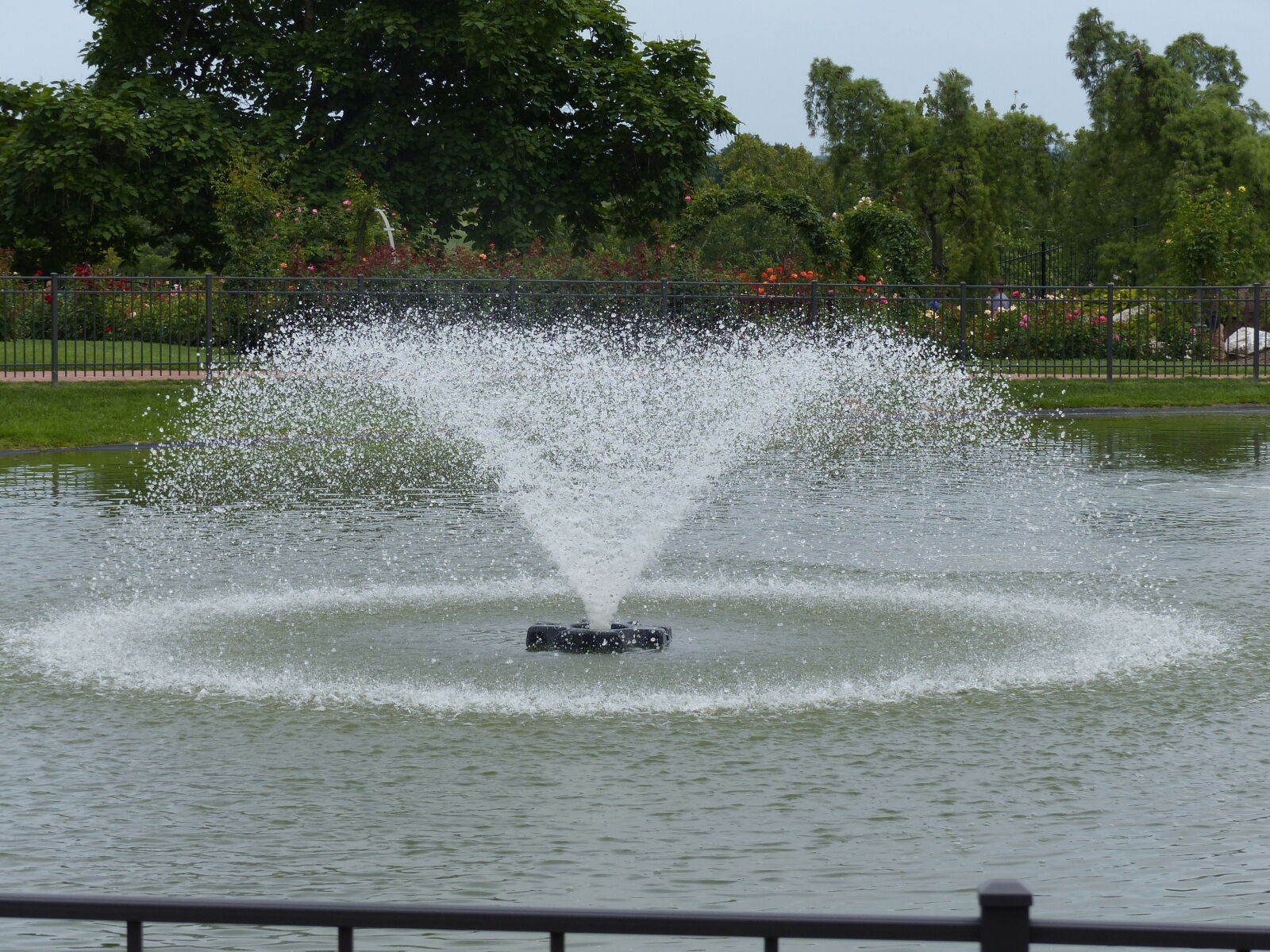 Panasonic Lumix DMC-FZ200 sample photo. Flower, garden, fountain, garden photography