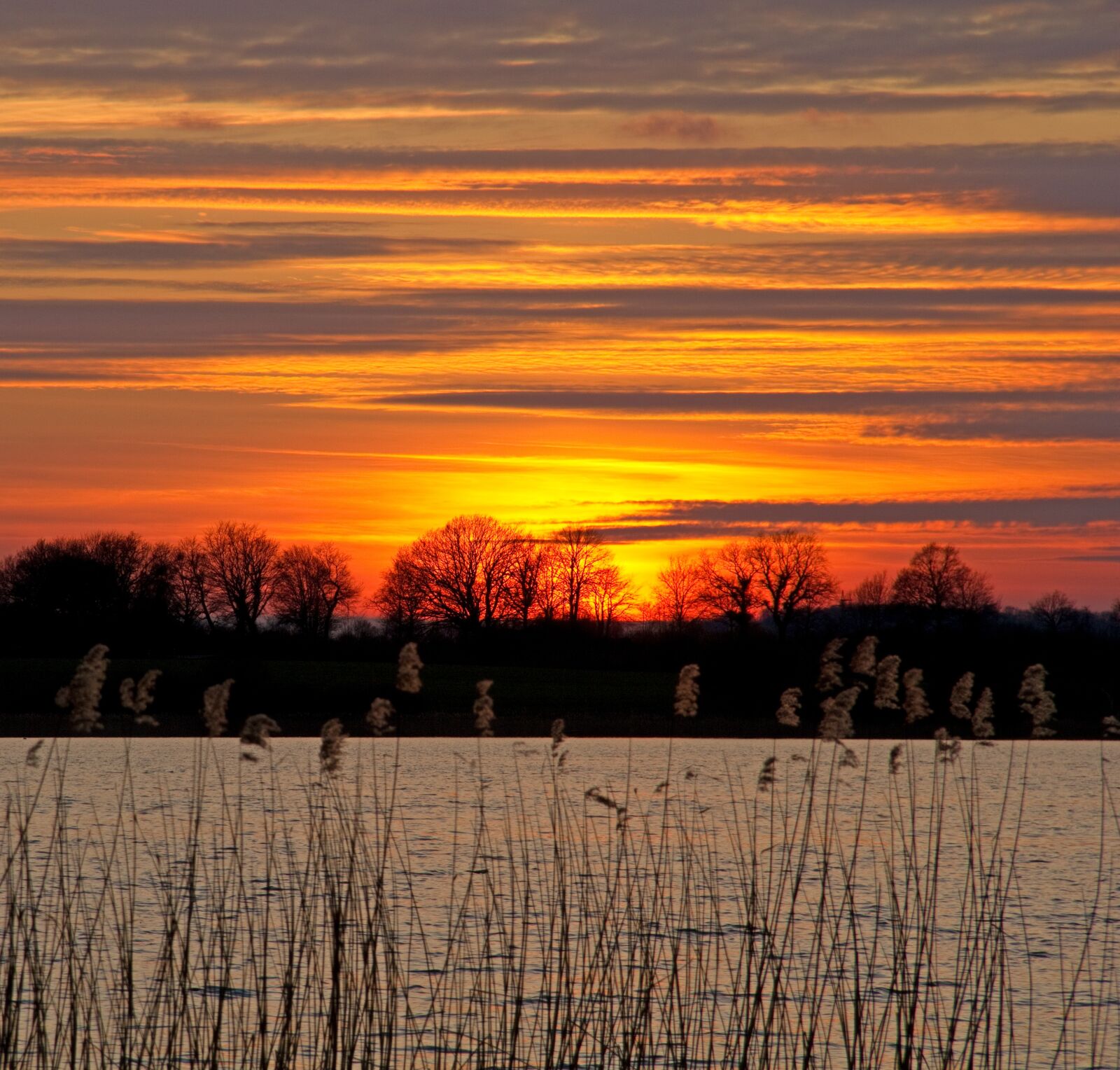 Canon EOS 550D (EOS Rebel T2i / EOS Kiss X4) sample photo. Sunset, sun, abendstimmung photography