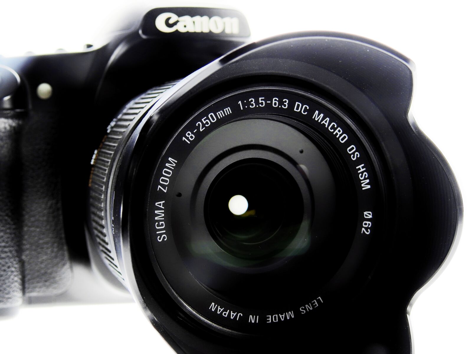 Nikon Coolpix P900 sample photo. Camera, digital camera, photograph photography