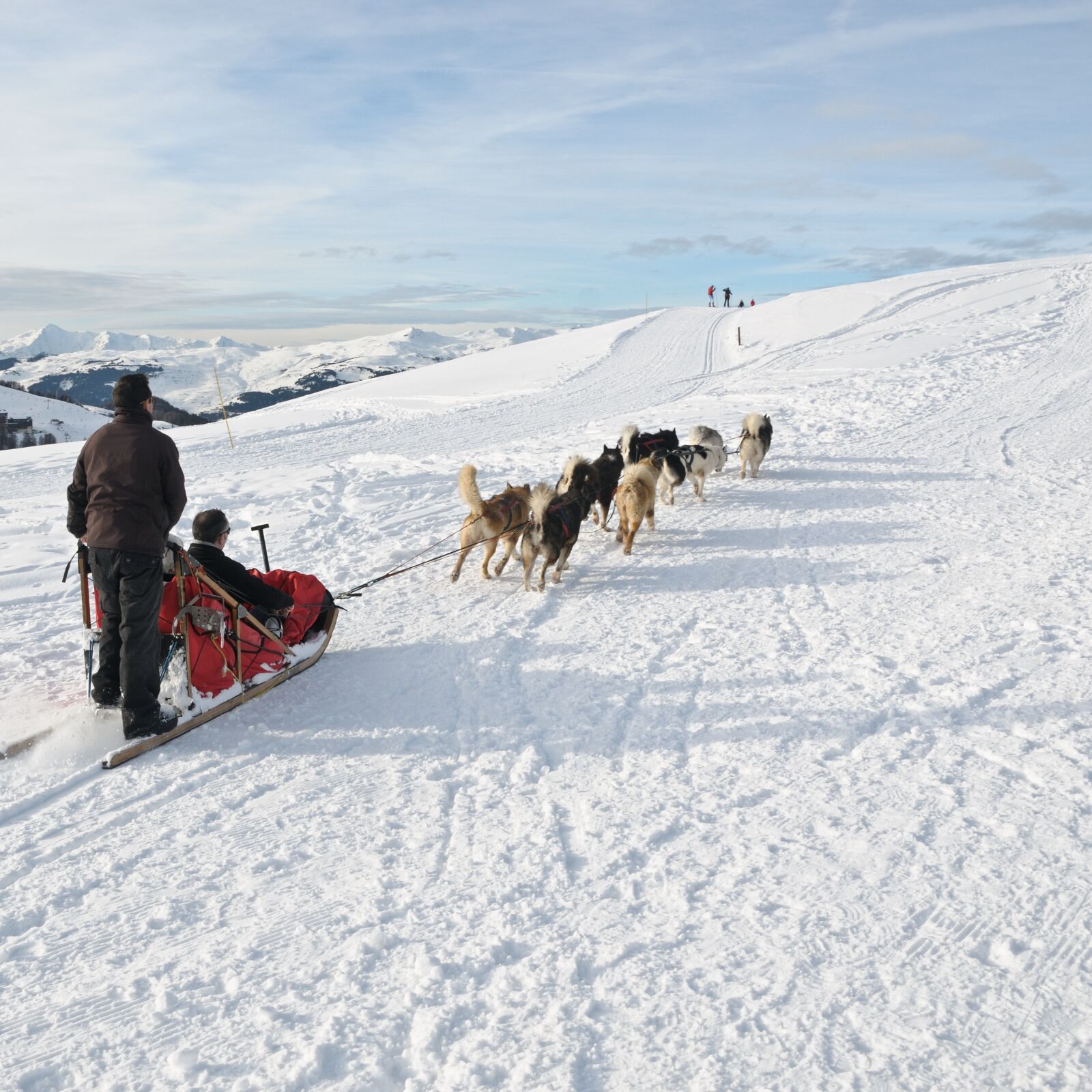 Nikon D300 sample photo. Dog, sled, snow photography