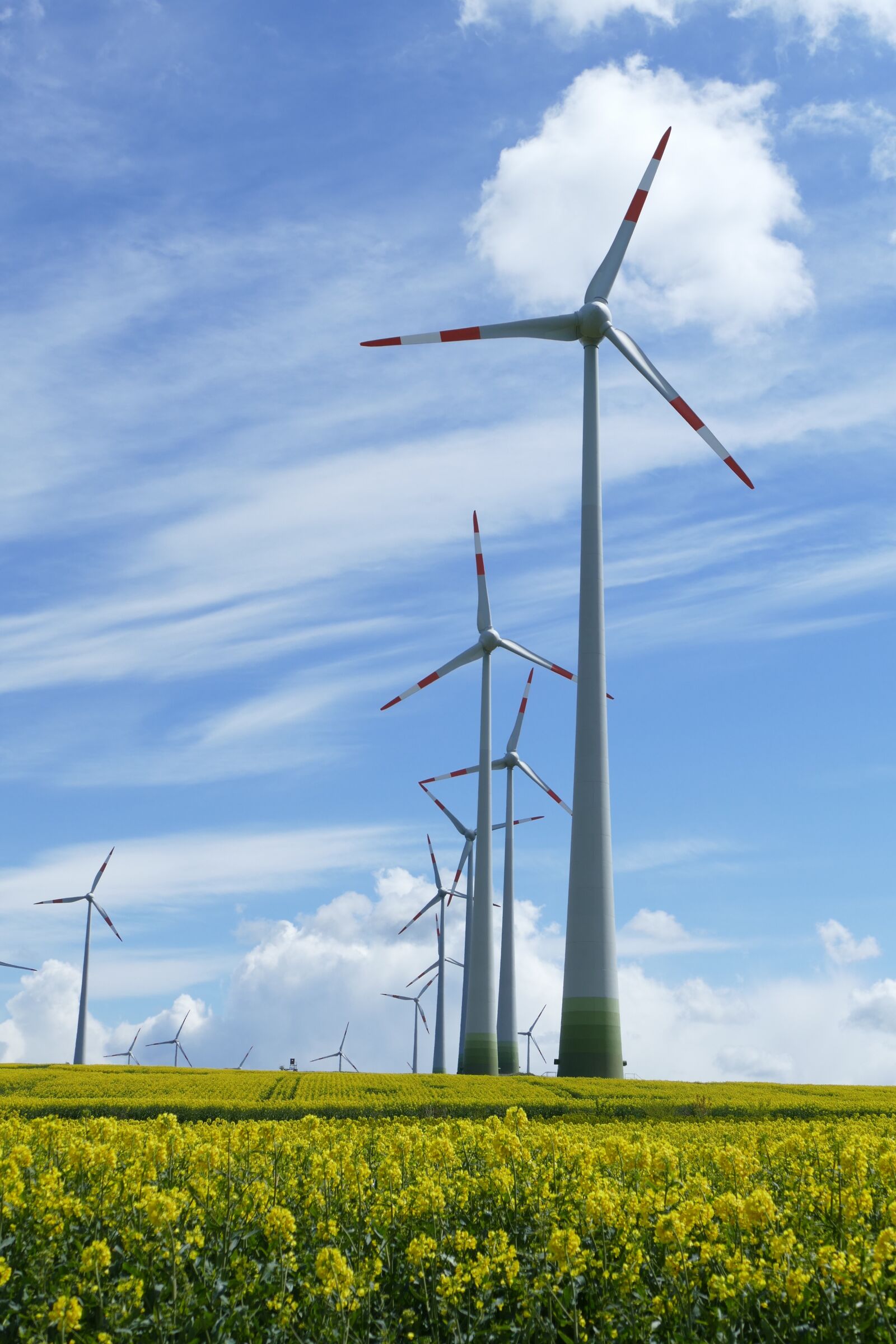 Panasonic Lumix DMC-FZ1000 sample photo. Oilseed rape, wind turbine photography