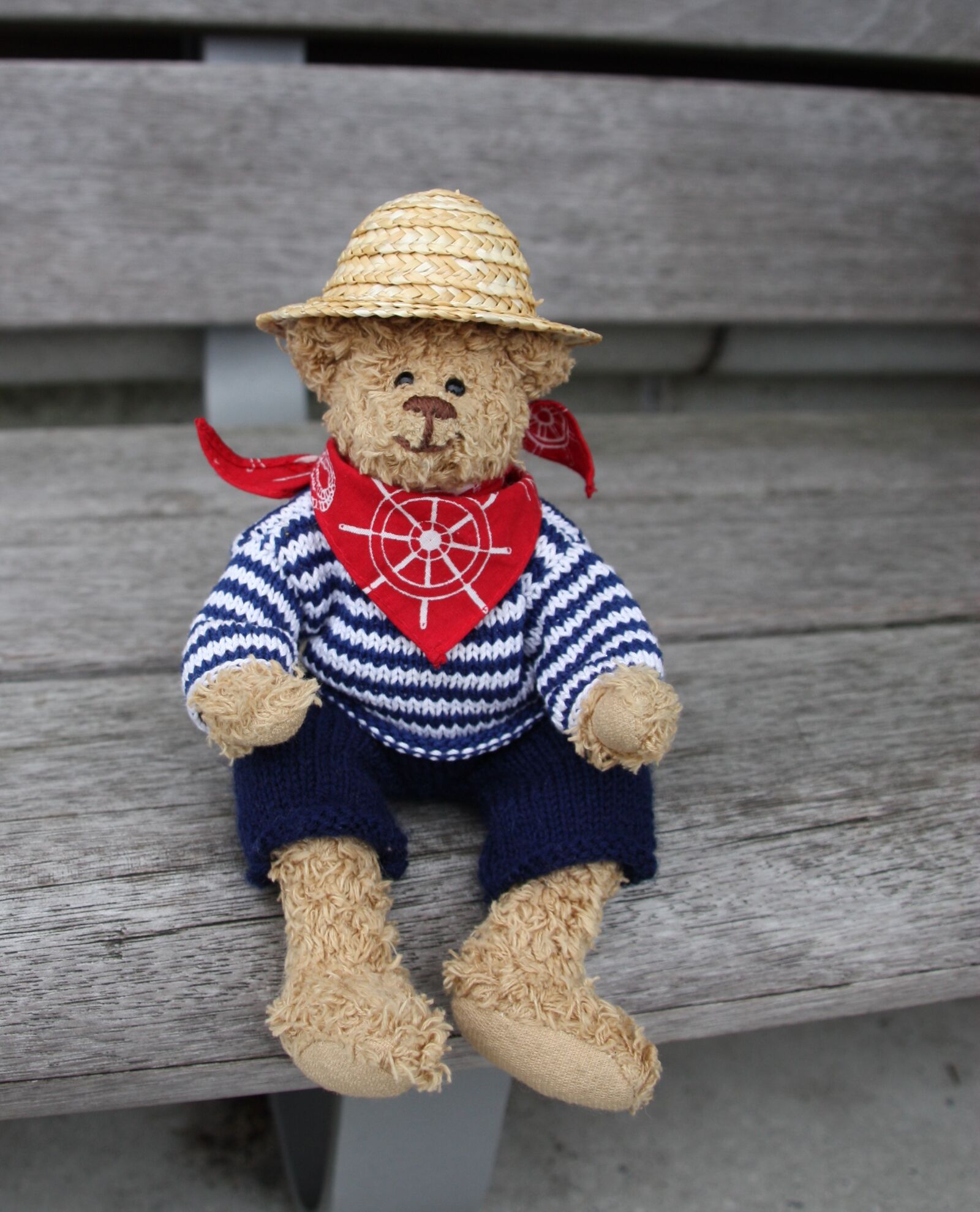 Canon EOS 450D (EOS Rebel XSi / EOS Kiss X2) sample photo. Bear, teddy bear, toys photography