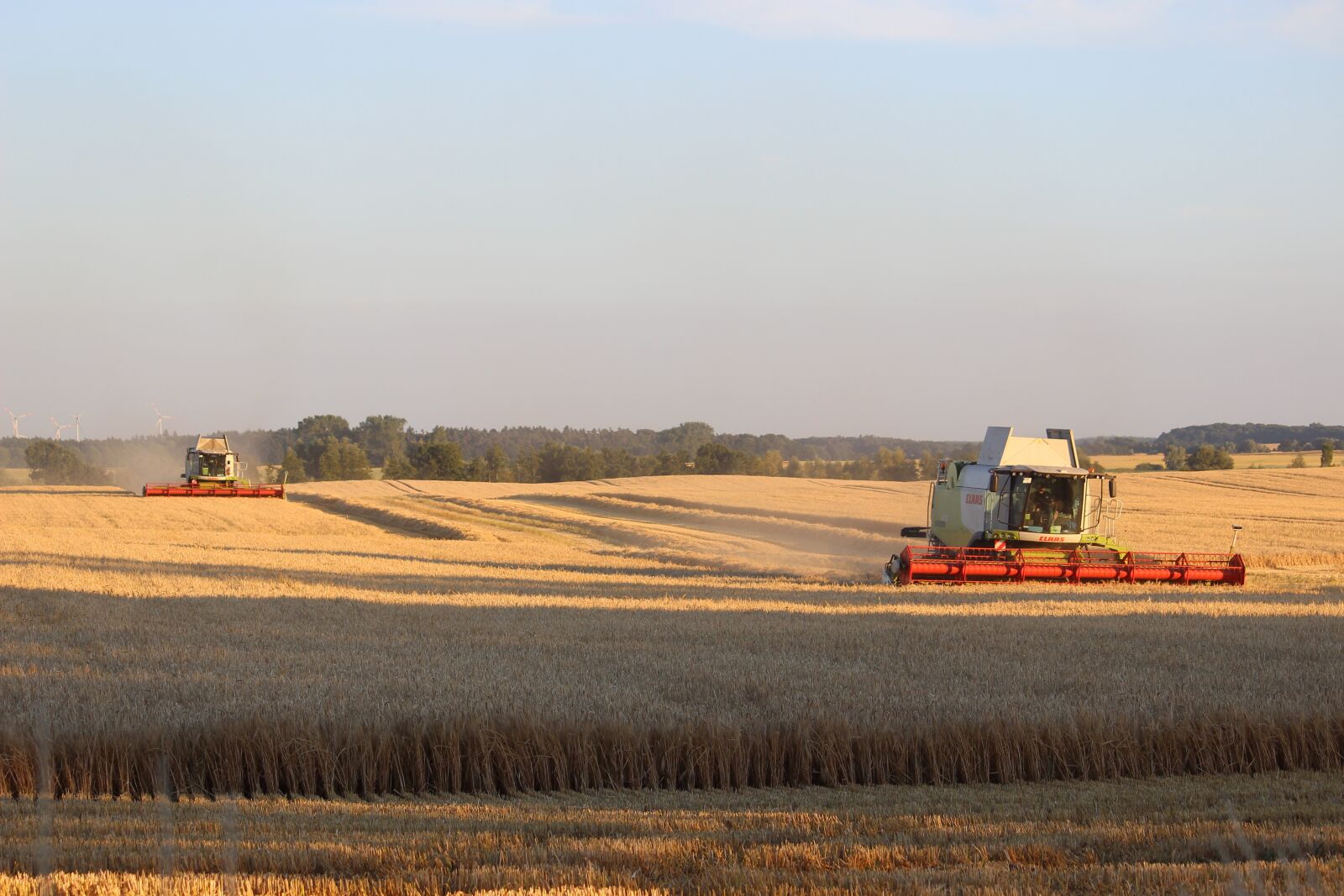 Canon EOS 600D (Rebel EOS T3i / EOS Kiss X5) sample photo. Harvest, summer, agriculture photography