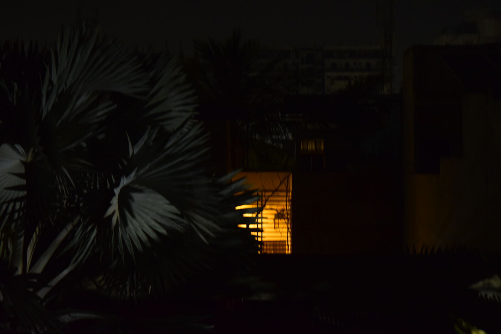 Nikon D3300 sample photo