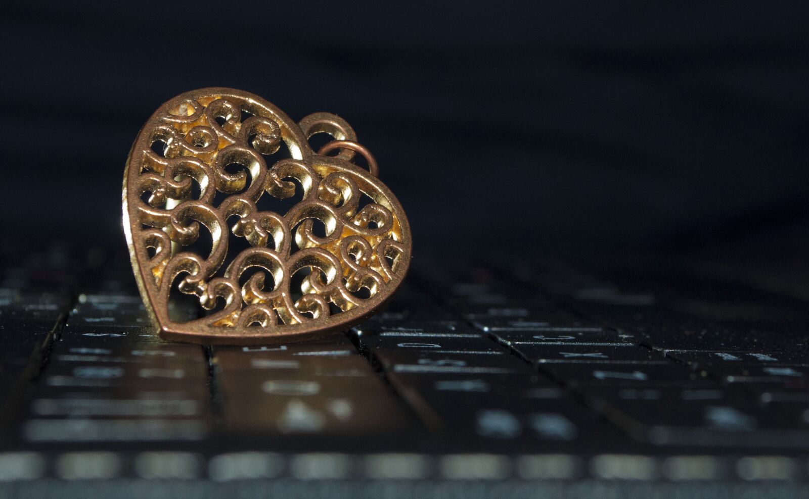 Nikon D90 sample photo. Medalion, bronze, achievement photography