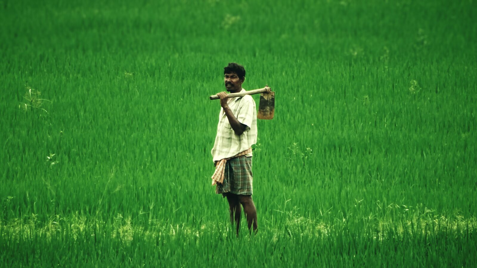 Sony Cyber-shot DSC-HX400V sample photo. Farmer, farm, man photography
