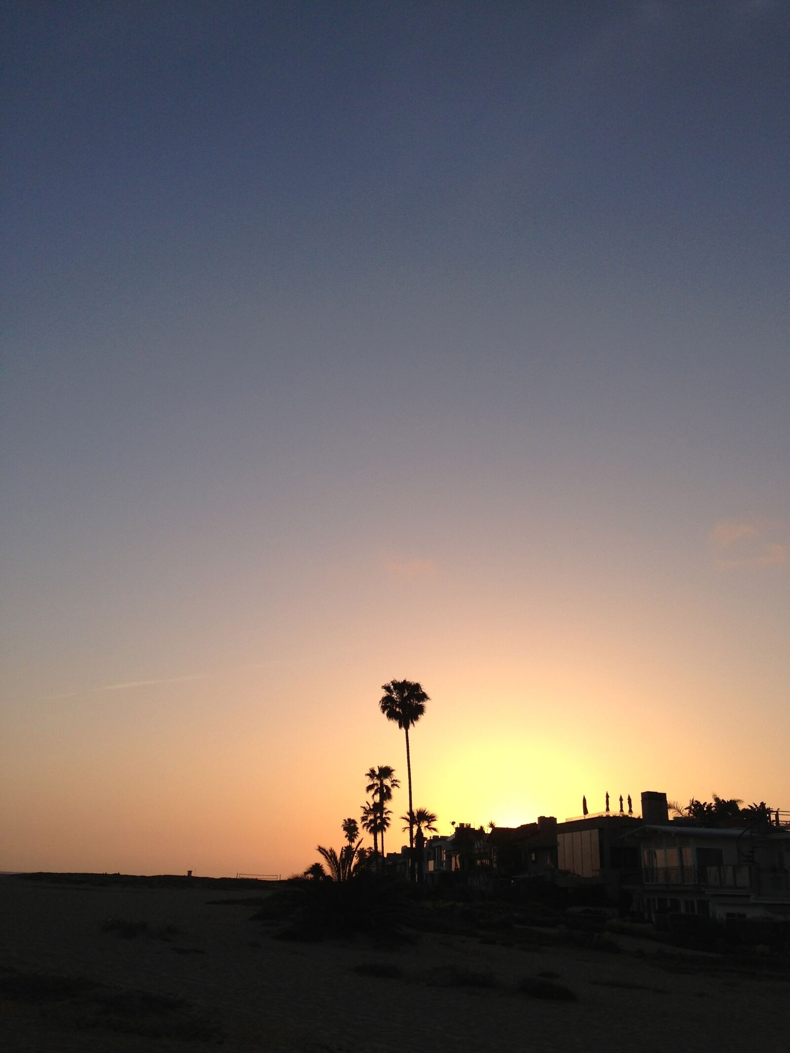 Apple iPhone 5 sample photo. Beach, palm tree, palm photography