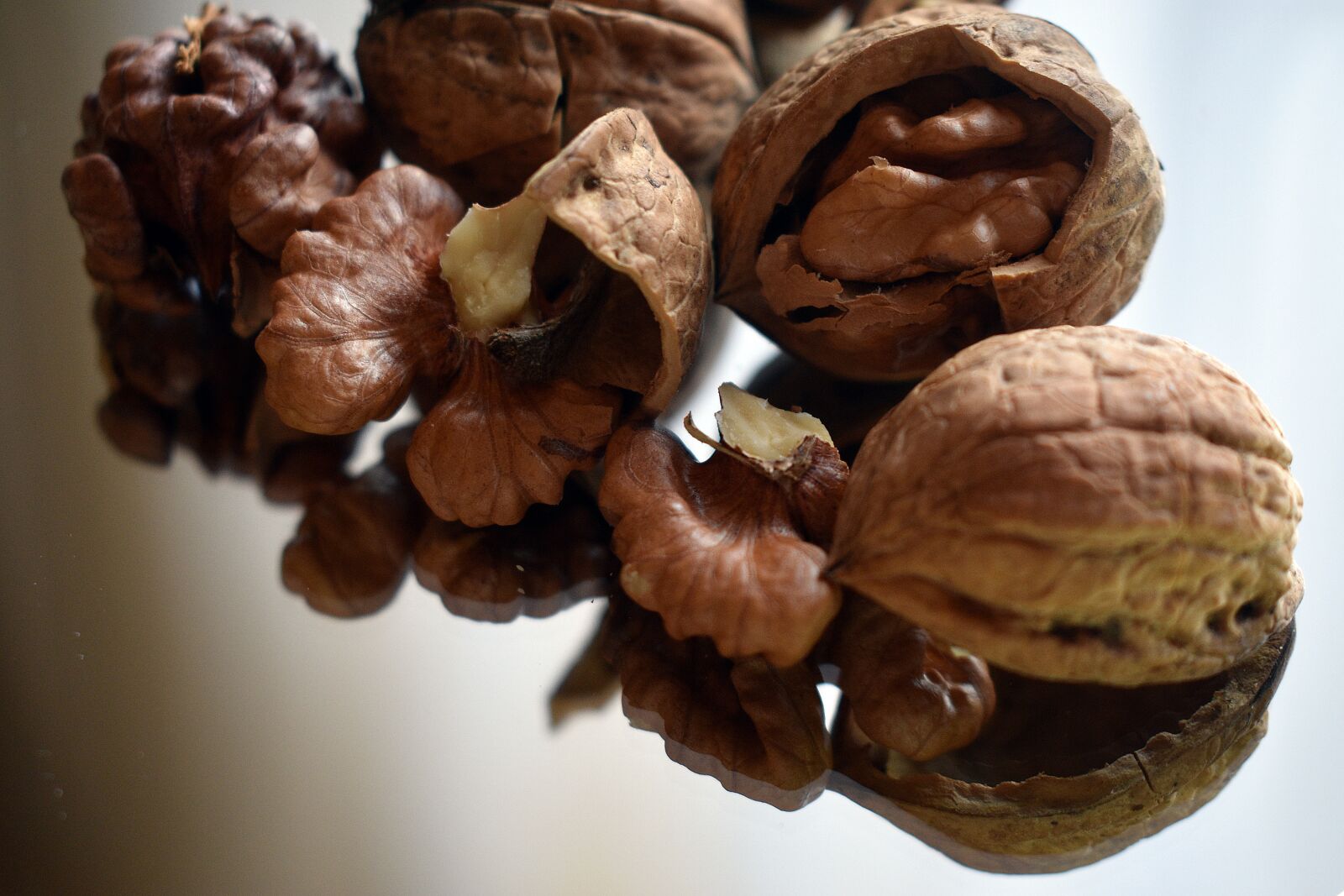 Nikon D3400 sample photo. Walnut, shell, hard photography