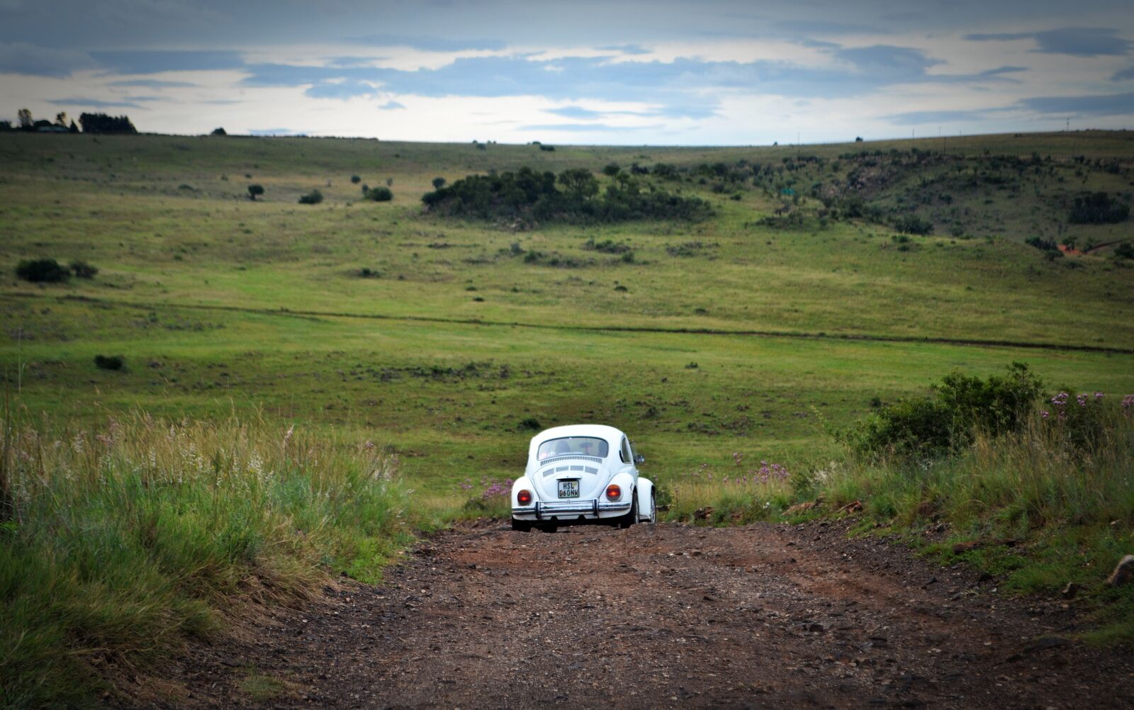 Nikon D3100 sample photo. Volkswagen, trip, travel photography