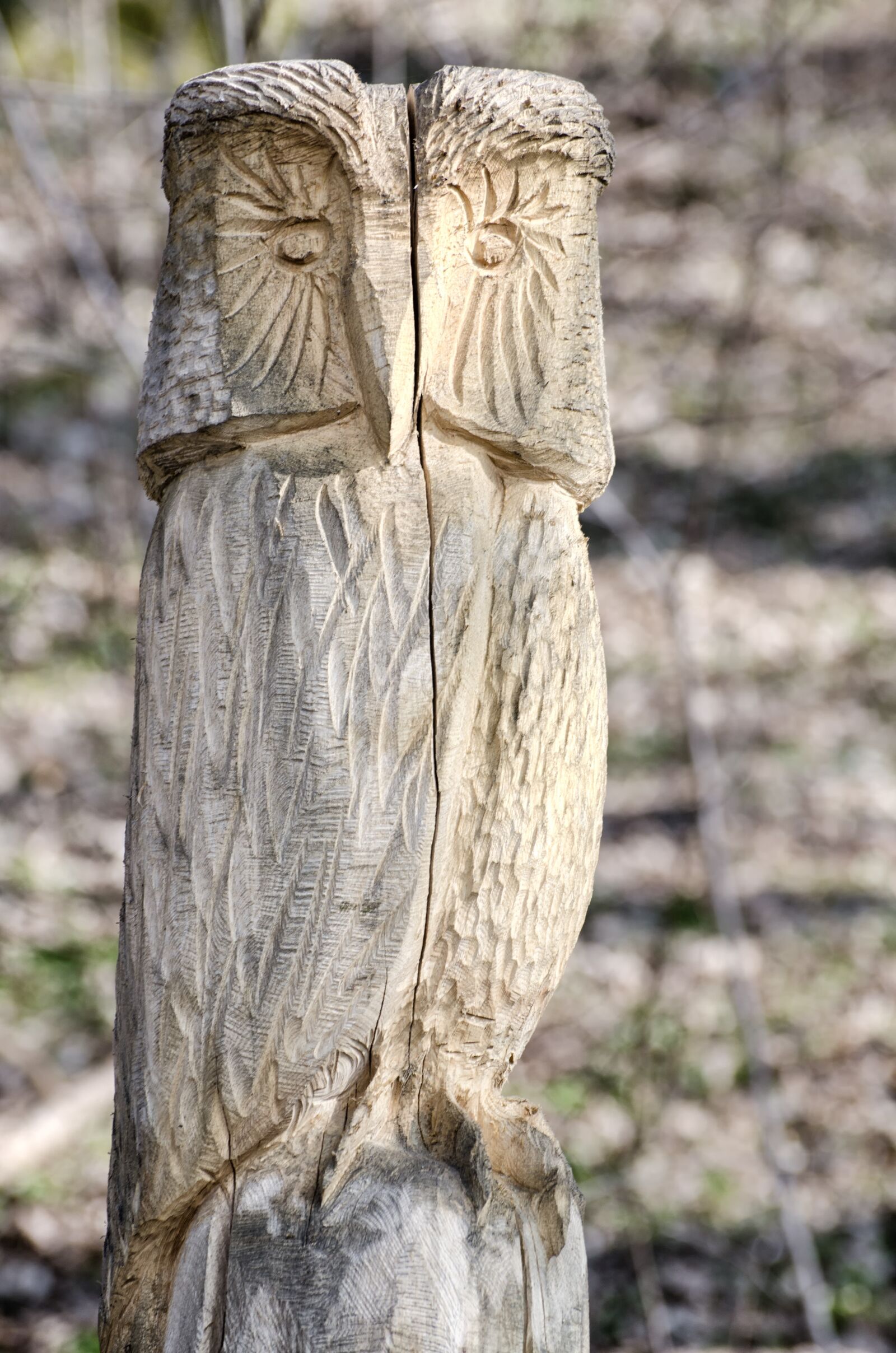 Nikon D7000 sample photo. Owl, wood, carving photography