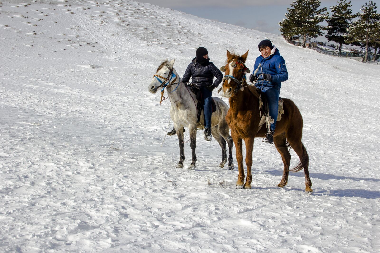 Canon EOS 60D sample photo. Snow, winter, ice photography