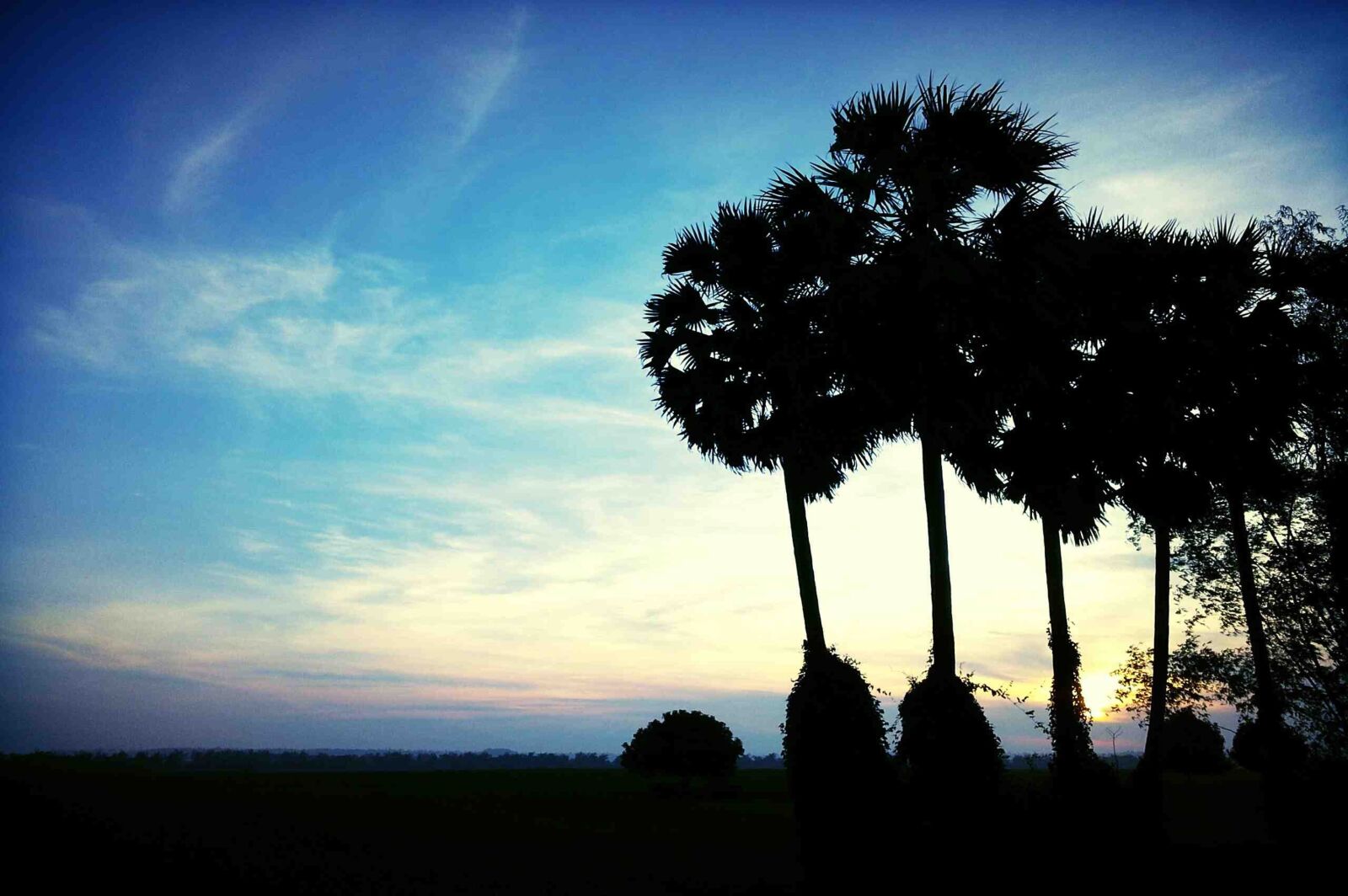 Nikon D3200 sample photo. Cambodia, sunset, trees photography