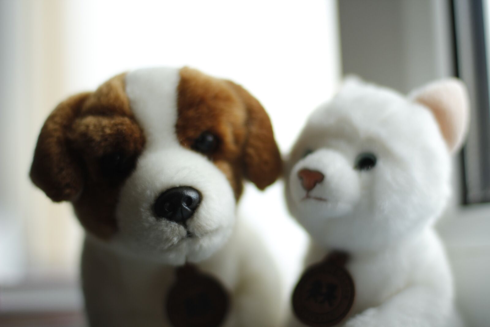 Canon EOS 60D + Canon EF 50mm F1.4 USM sample photo. Toys, dog, cat photography