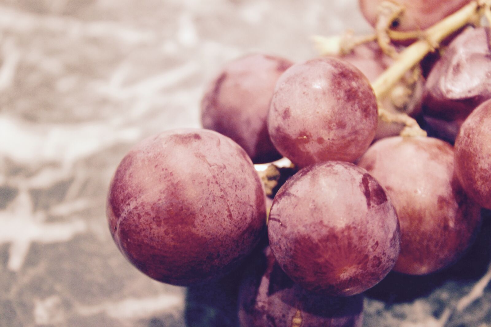 Canon EOS 600D (Rebel EOS T3i / EOS Kiss X5) sample photo. Red, grapes, fruits photography