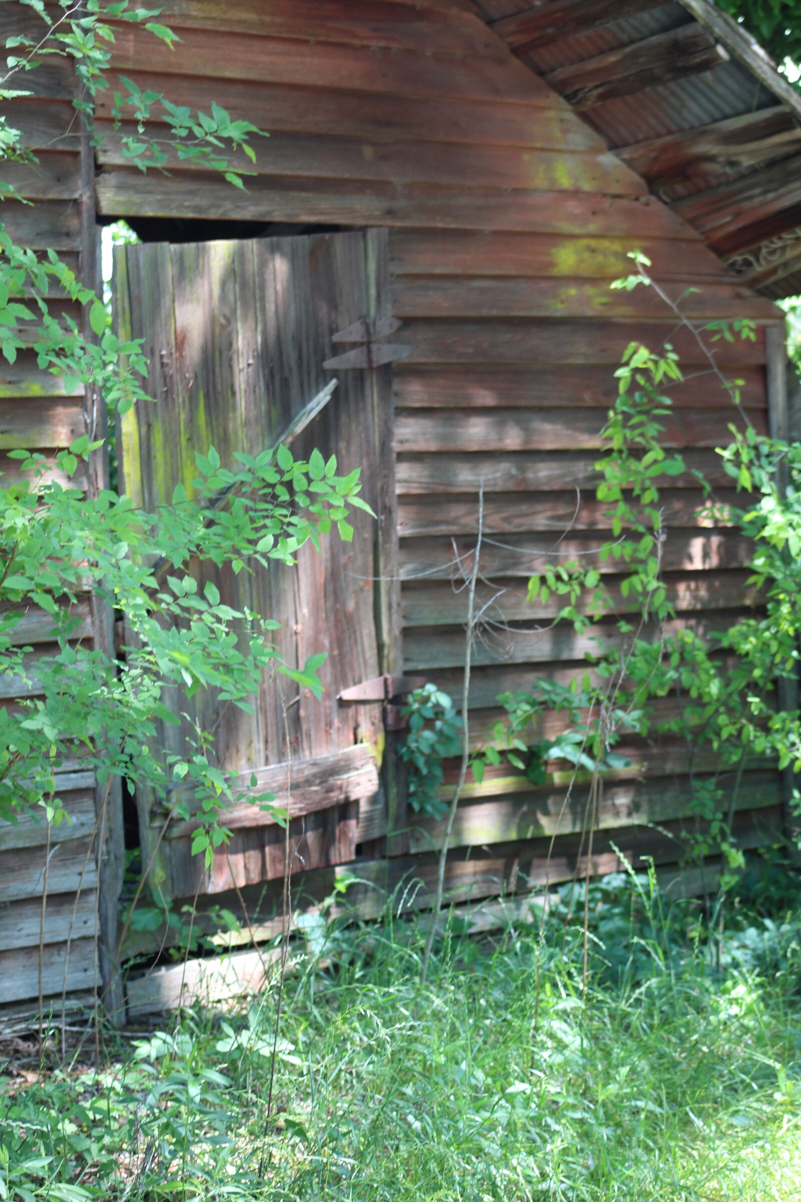 Canon EF75-300mm f/4-5.6 sample photo. Old barn, weathered wood photography