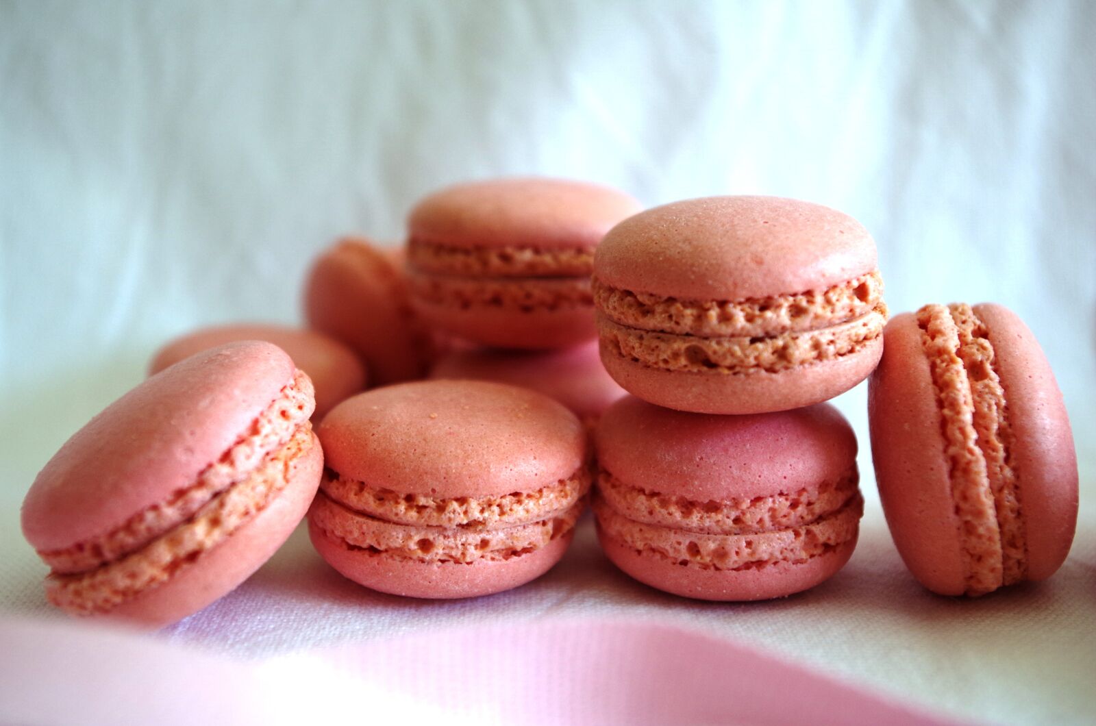Pentax K-50 sample photo. Macaron, rosa, pink photography
