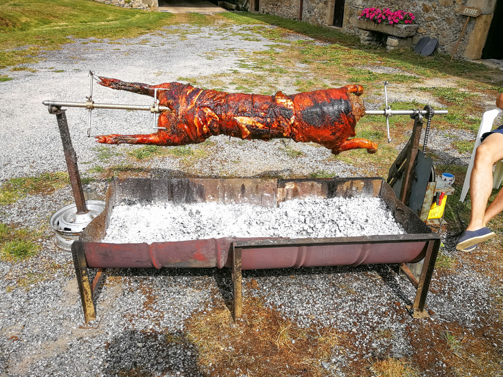 HUAWEI P10 Plus sample photo. Pig, barbecue, roasting photography