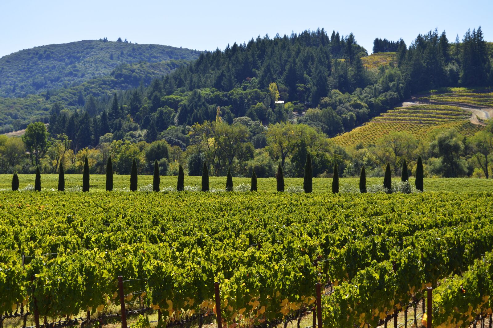 Nikon D3200 sample photo. Landscape, hill, nature photography