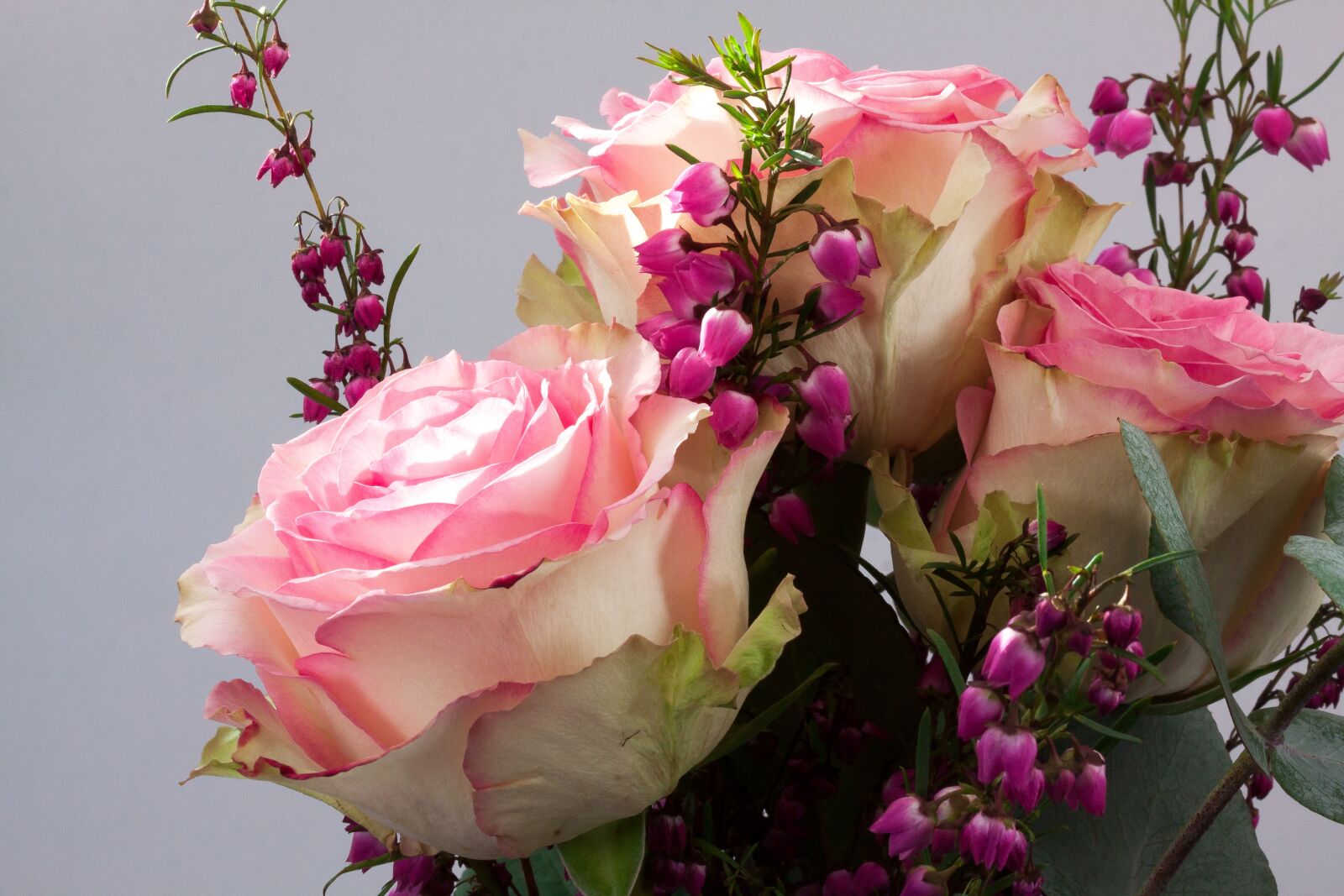 Canon EOS 50D sample photo. Bouquet, rose, erika photography