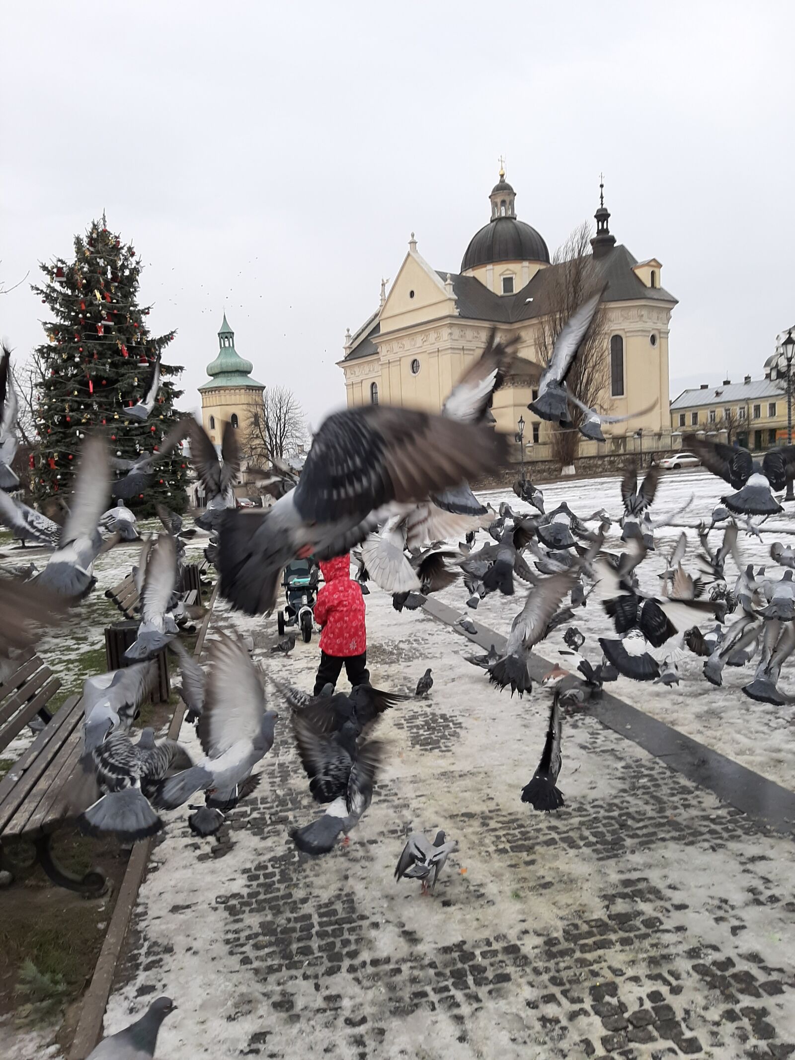 Samsung Galaxy A50 sample photo. Pigeons, photo, winter photography