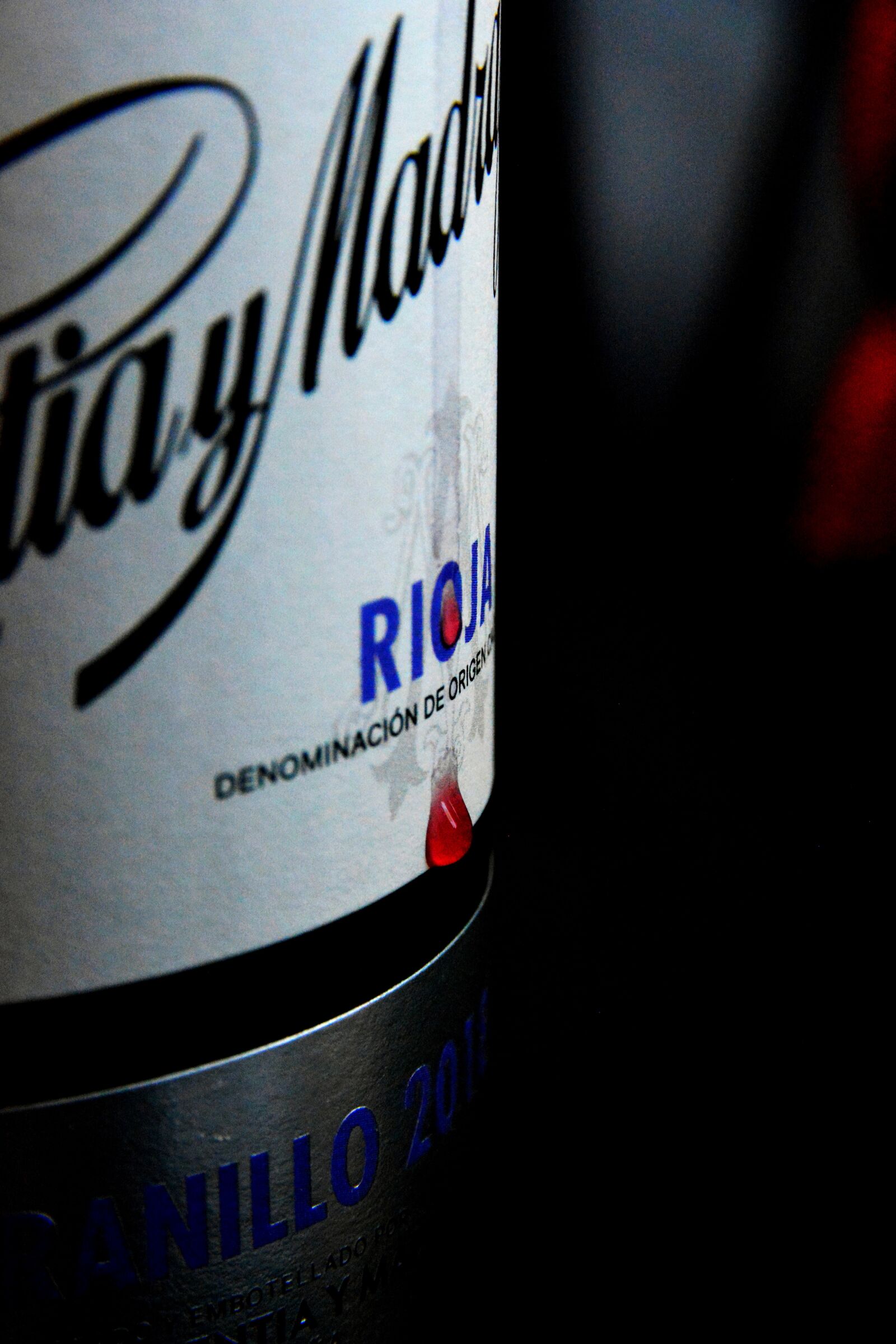 Nikon D5200 sample photo. Party, parties, wine photography