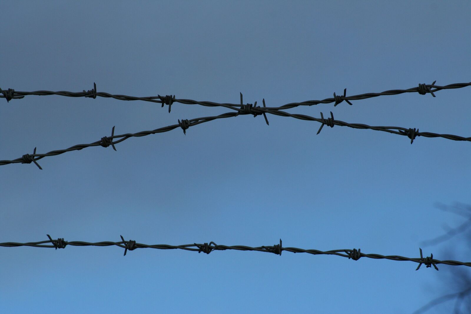 Canon EOS 350D (EOS Digital Rebel XT / EOS Kiss Digital N) sample photo. Barbed wire, metal, fence photography
