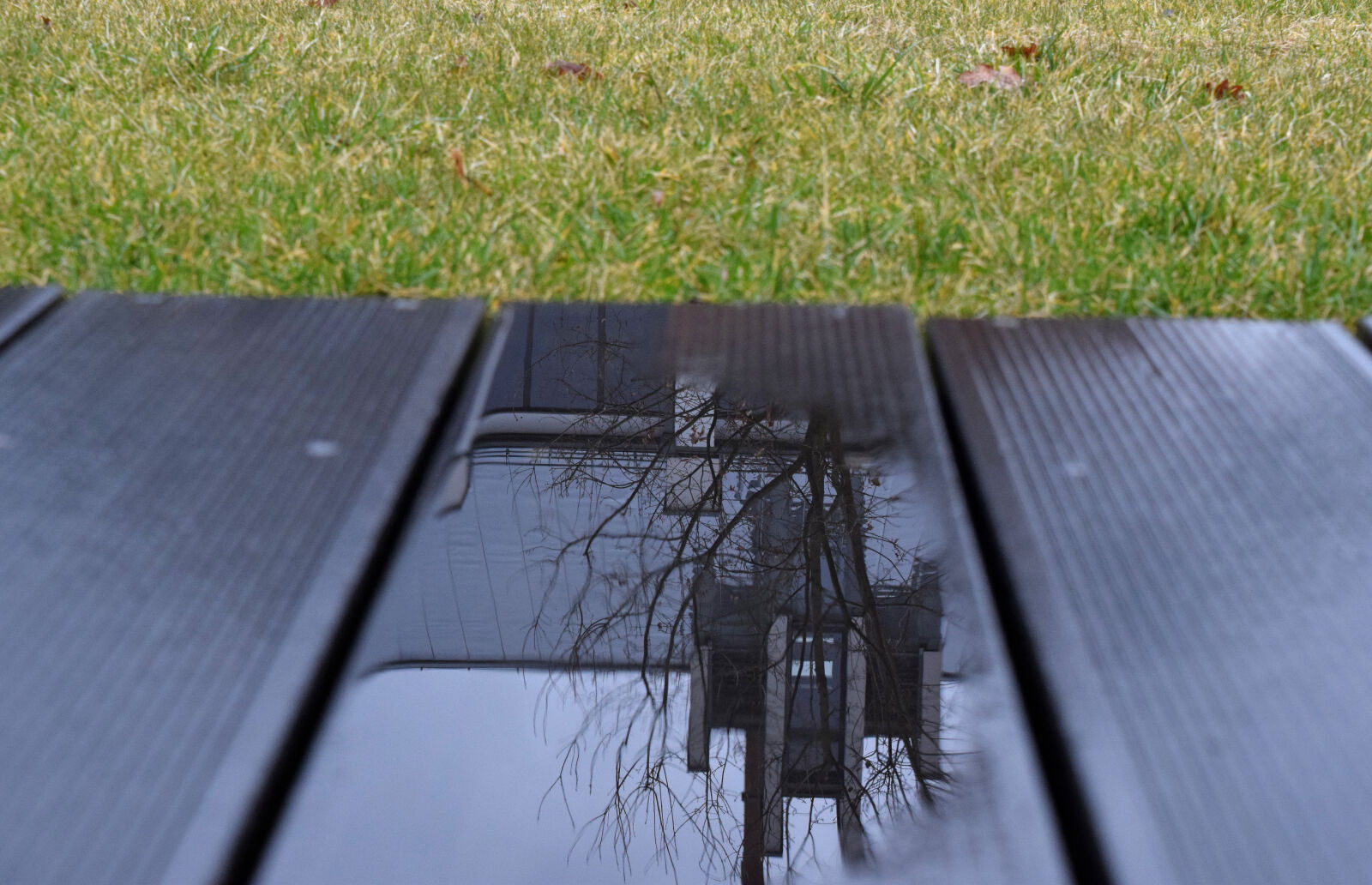 Nikon D3300 sample photo. Rain, reflection photography