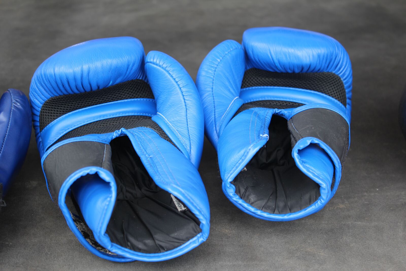 Canon EOS 600D (Rebel EOS T3i / EOS Kiss X5) sample photo. Box, boxing gloves, boxing photography