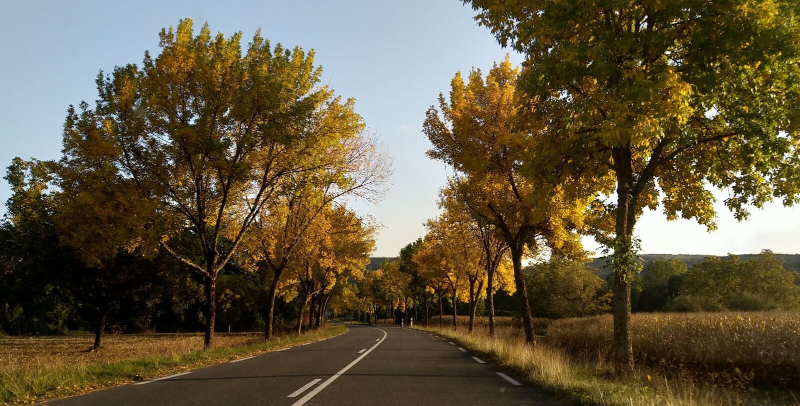 HMD Global Nokia 7 plus sample photo. Autumn, road, france photography