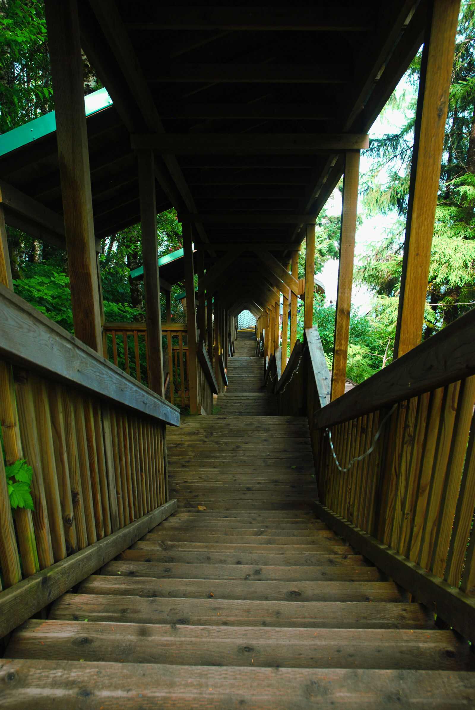 Nikon D80 sample photo