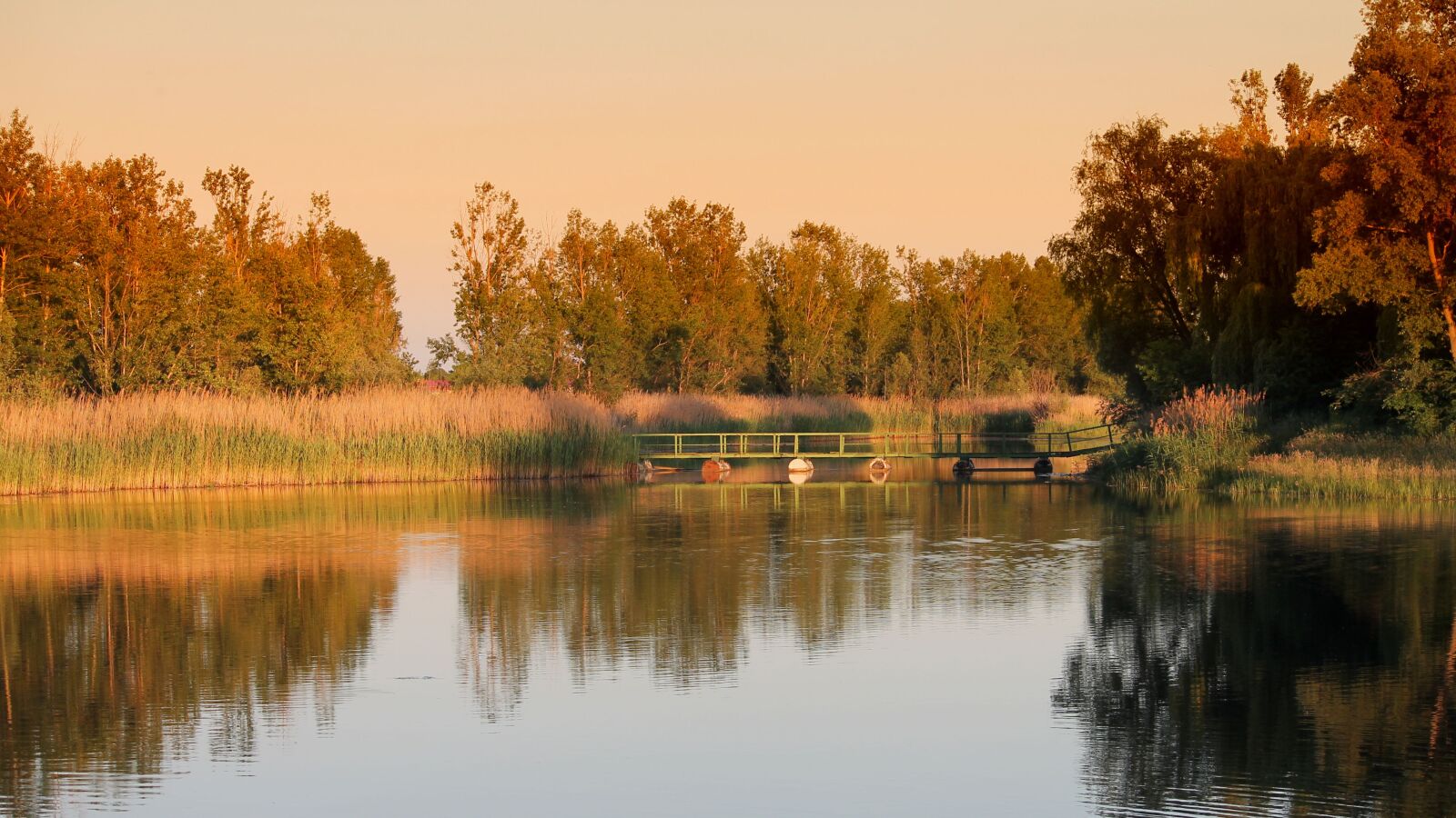 Canon EF-S 55-250mm F4-5.6 IS II sample photo. Landscape, trees, lake photography