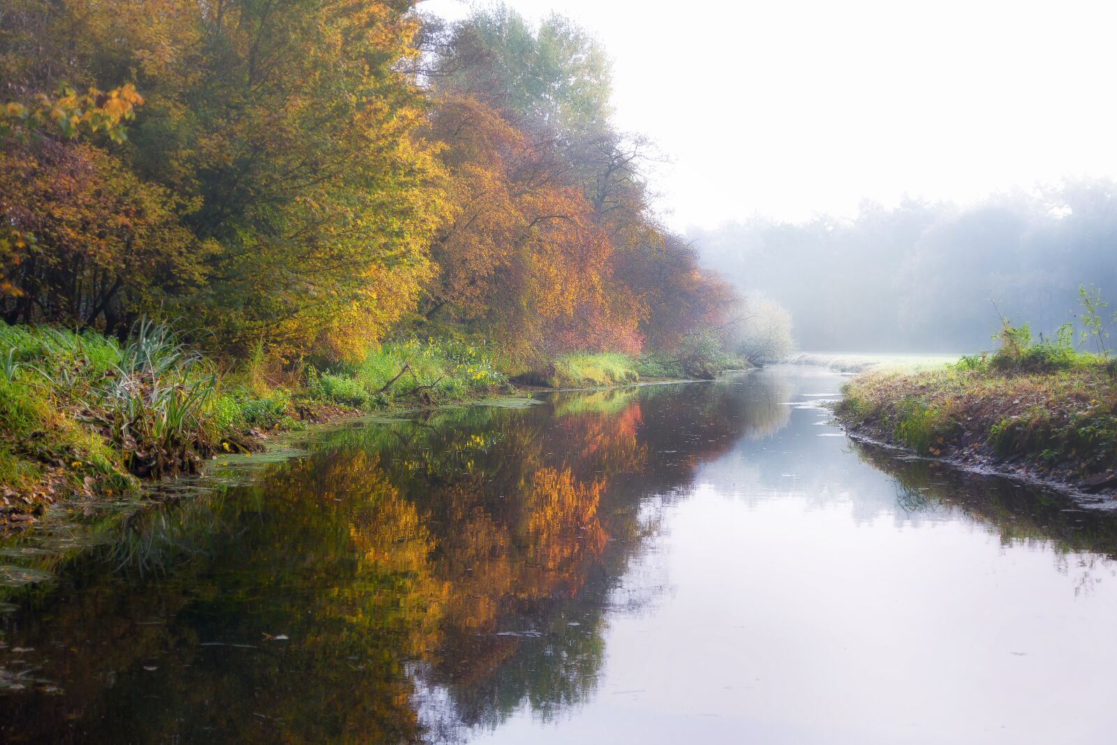 Canon EOS 50D sample photo. River, fog, rain photography