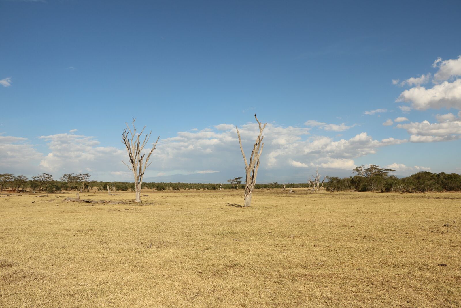 Canon EOS 760D (EOS Rebel T6s / EOS 8000D) sample photo. Nature, landscape, field photography