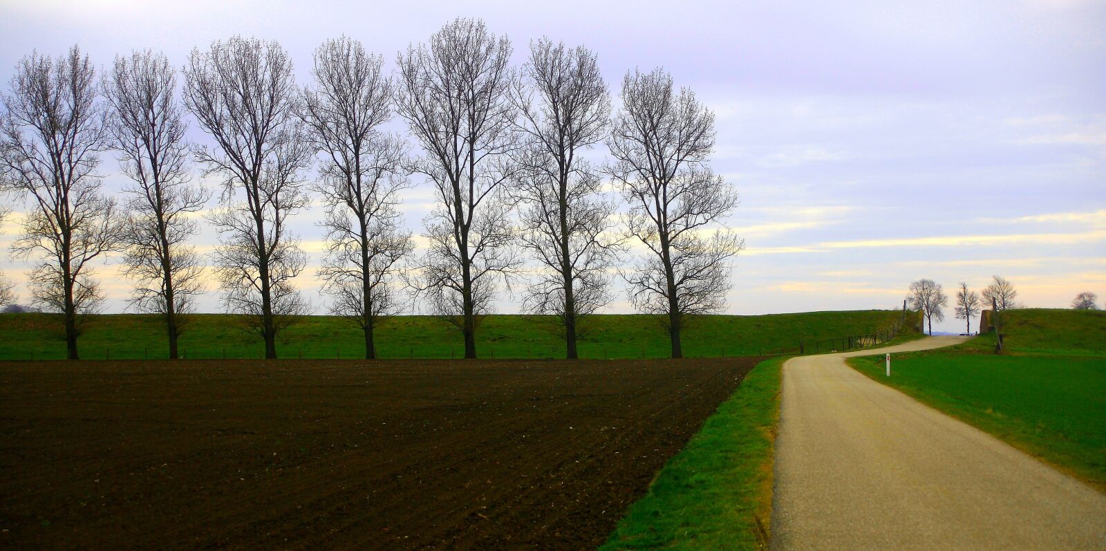 Canon EOS 1000D (EOS Digital Rebel XS / EOS Kiss F) sample photo. Landscape, trees, field photography