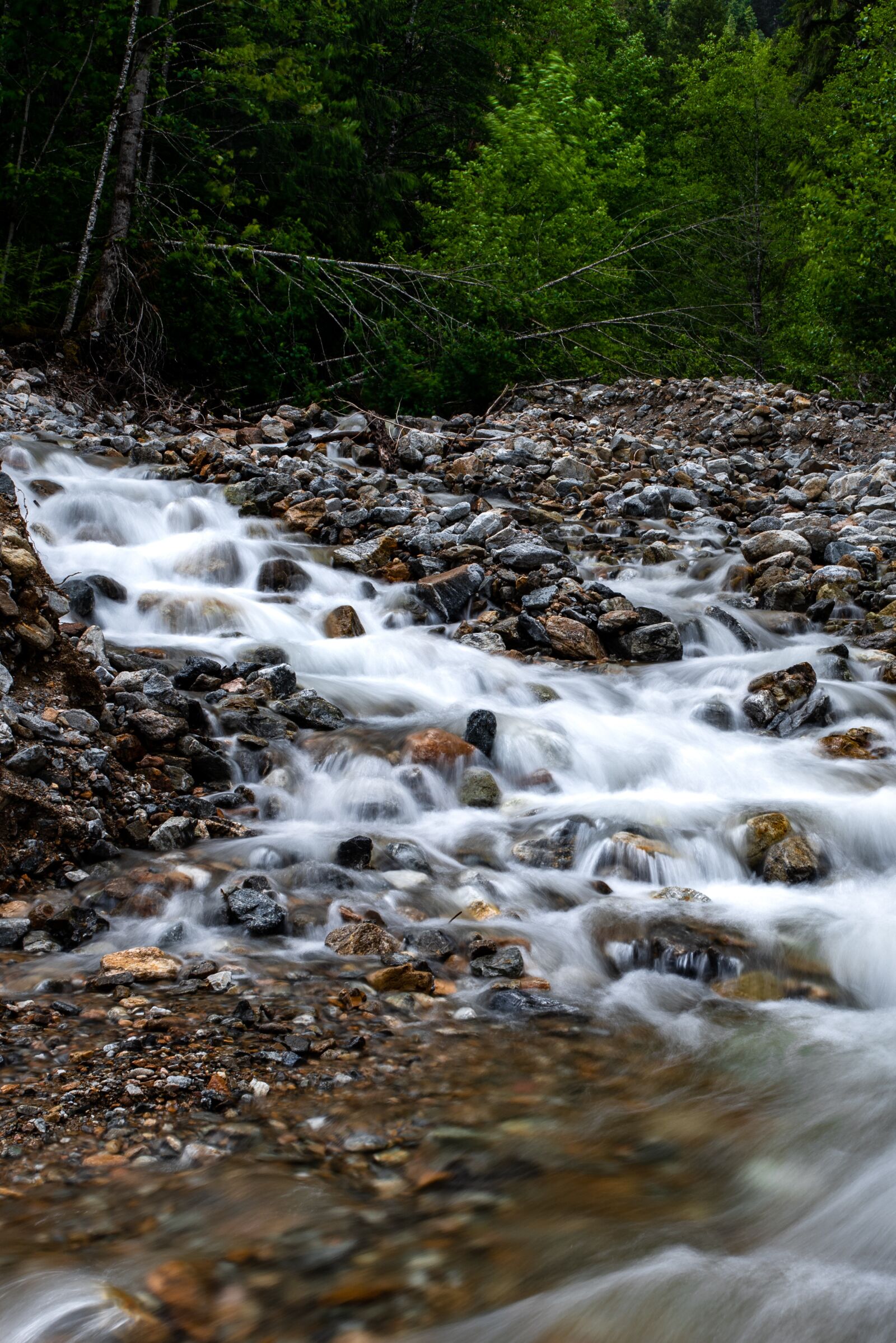 Nikon D750 sample photo. River, stream, nature photography