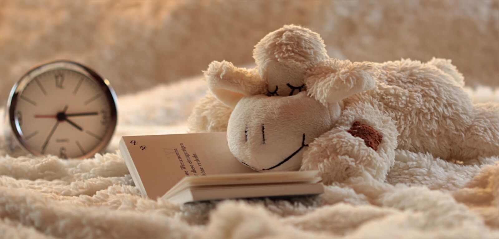 Canon EOS 550D (EOS Rebel T2i / EOS Kiss X4) sample photo. Still life, lamb, stuffed photography