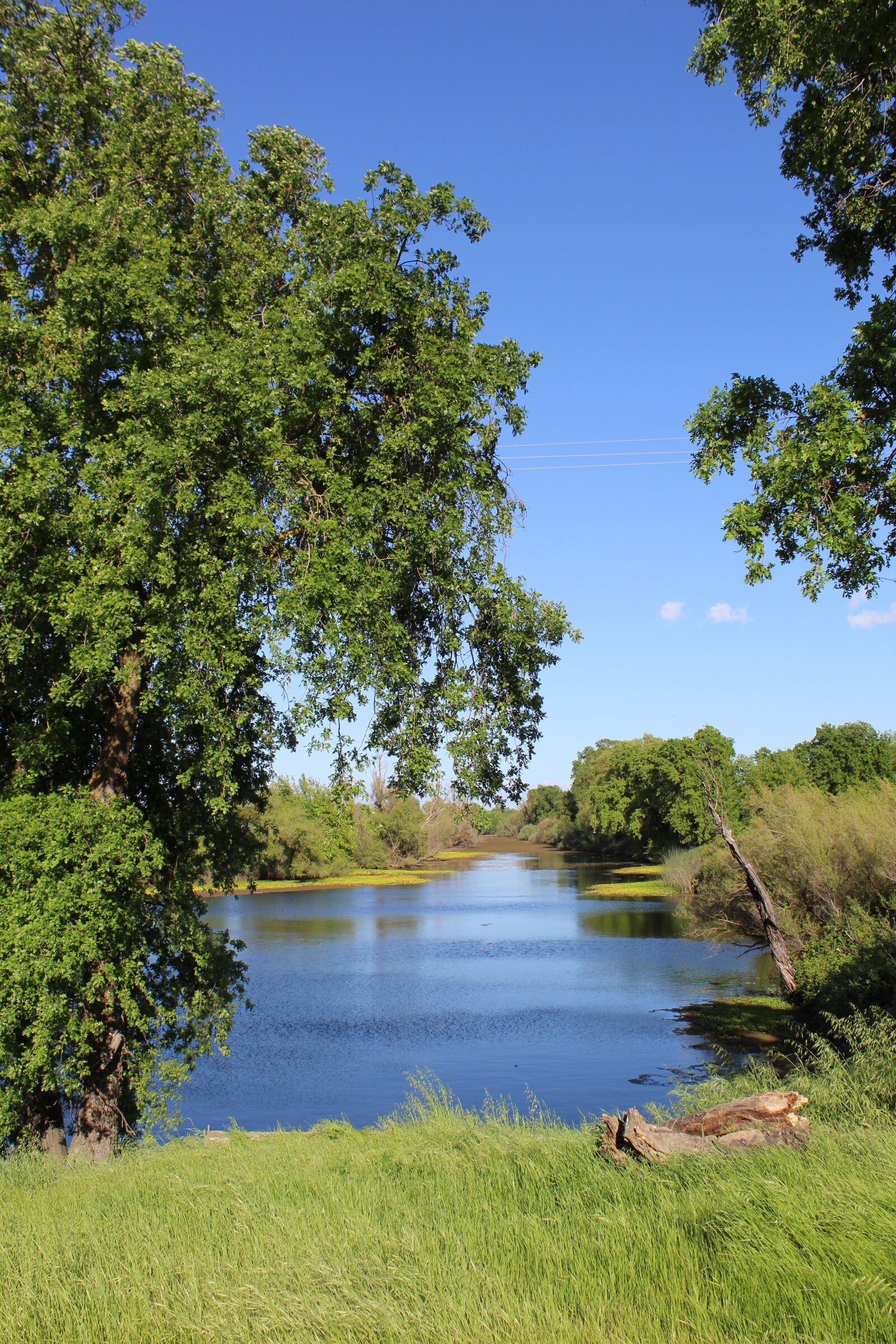 Canon EOS 1300D (EOS Rebel T6 / EOS Kiss X80) sample photo. Water, spring, river photography