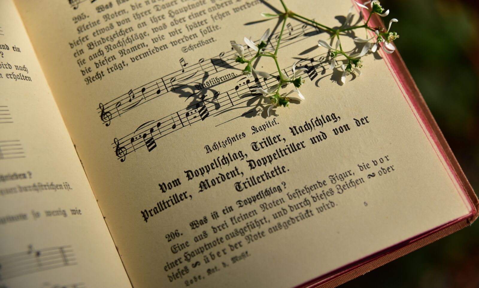 Nikon D750 sample photo. Book, song book, old photography