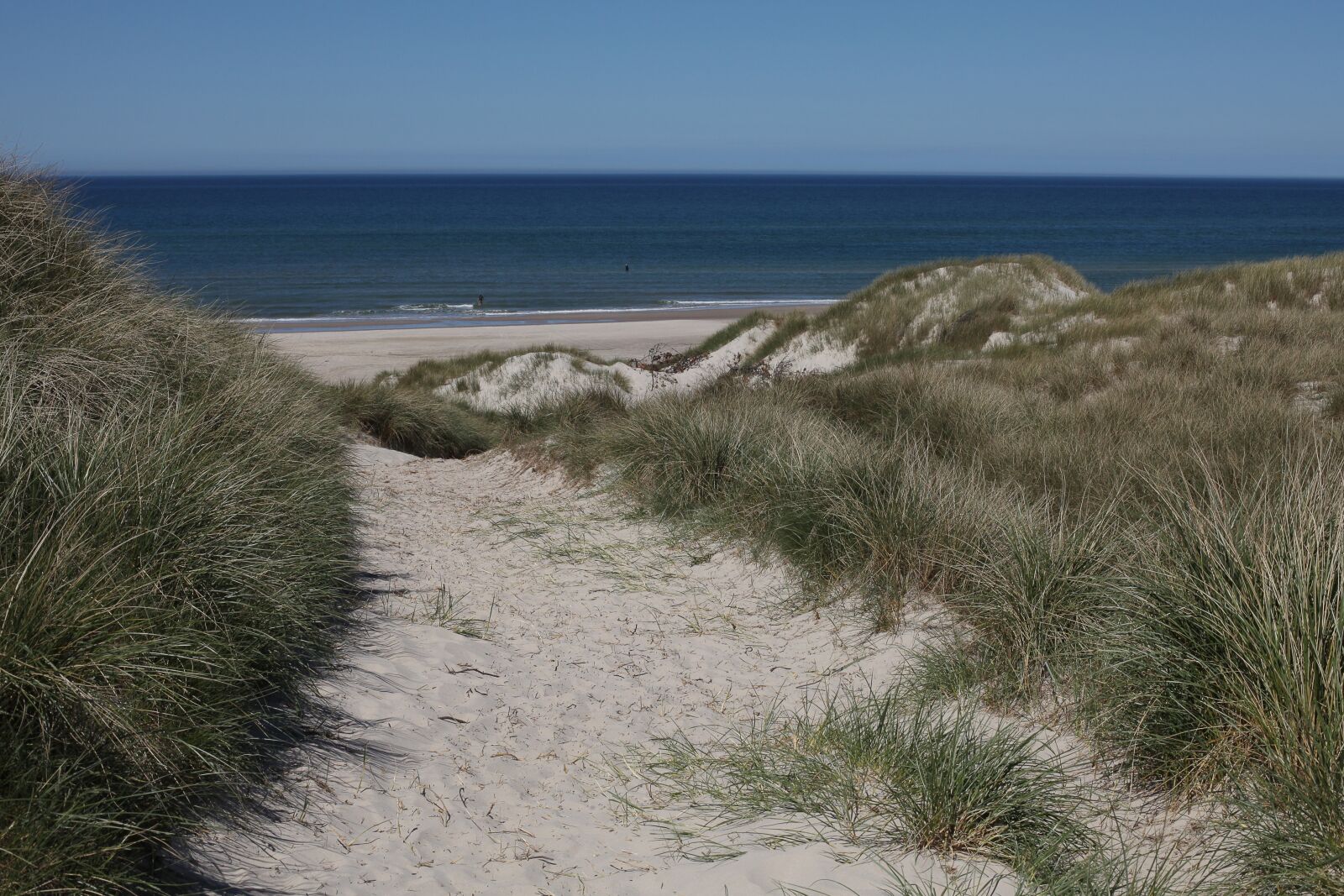 Canon EOS 5D Mark II sample photo. Dune, dunes, sand dunes photography