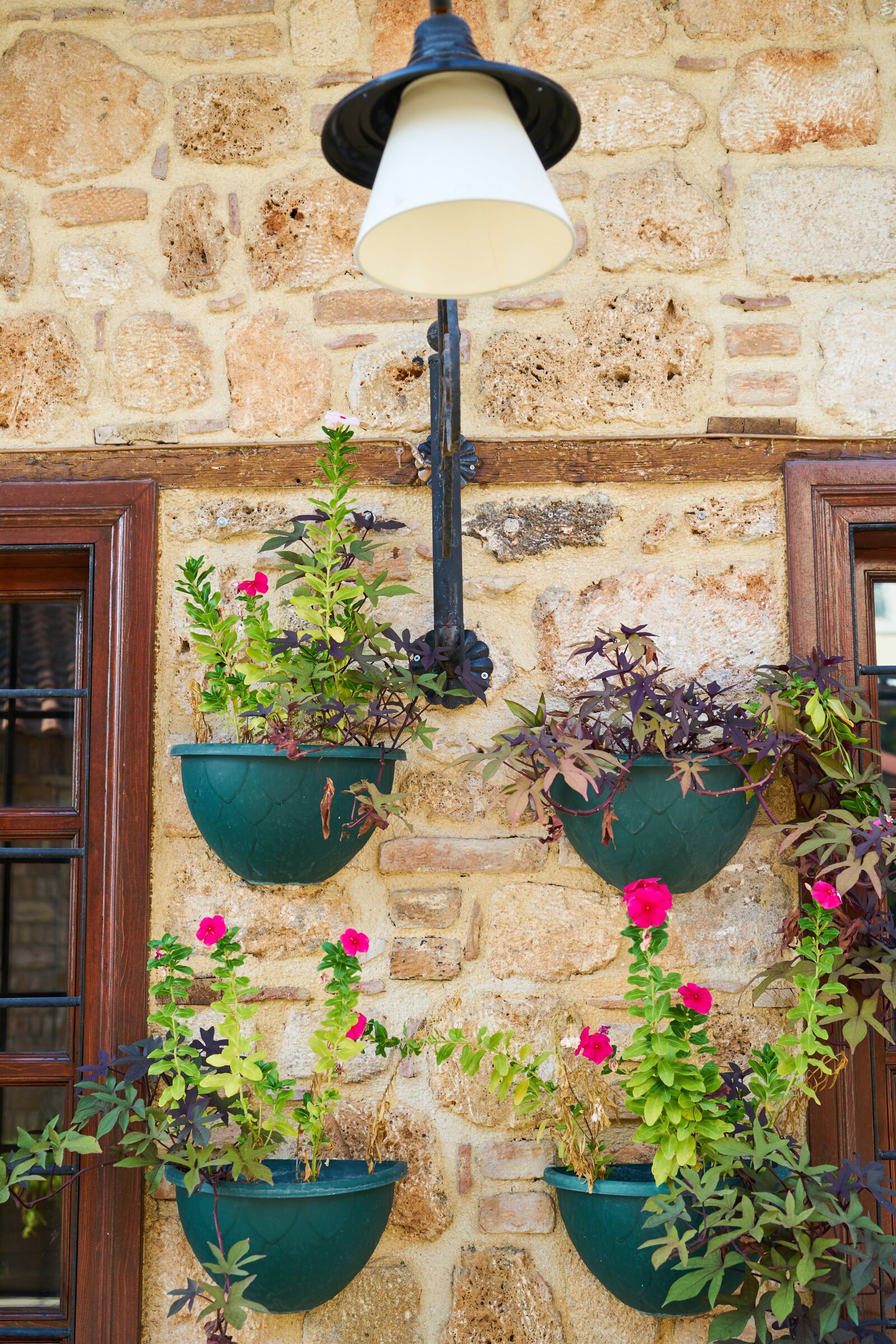 Sony a7R II sample photo. Window, flowerpot, wall photography