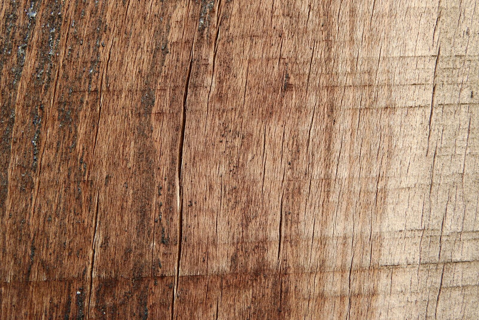 Nikon Coolpix P610 sample photo. Wood, texture, wooden photography
