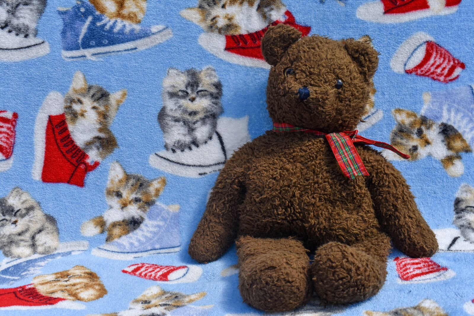 Nikon D3400 sample photo. Toy, children, kids photography