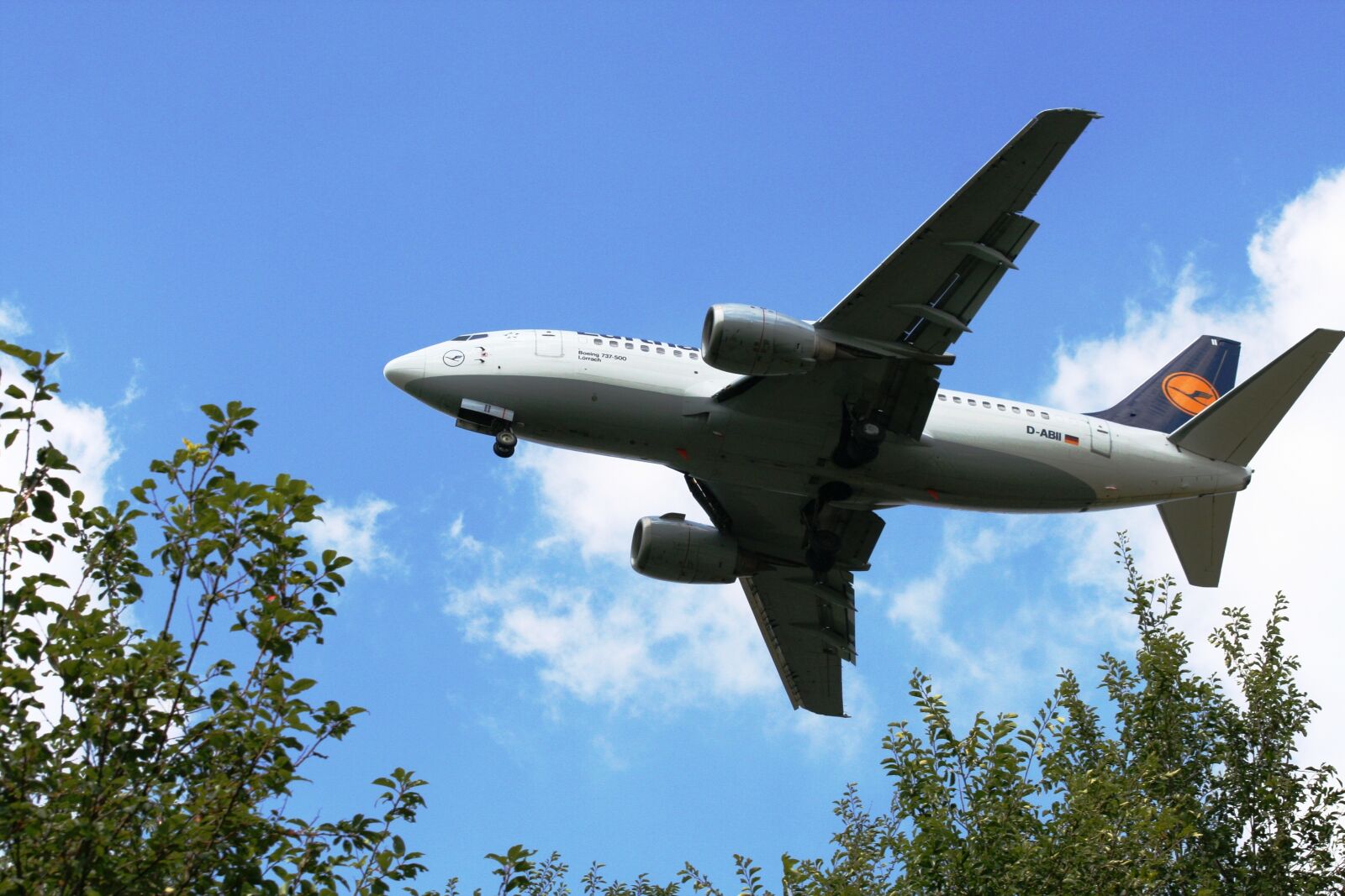 Canon EOS 350D (EOS Digital Rebel XT / EOS Kiss Digital N) sample photo. Flyer, aircraft, wing photography
