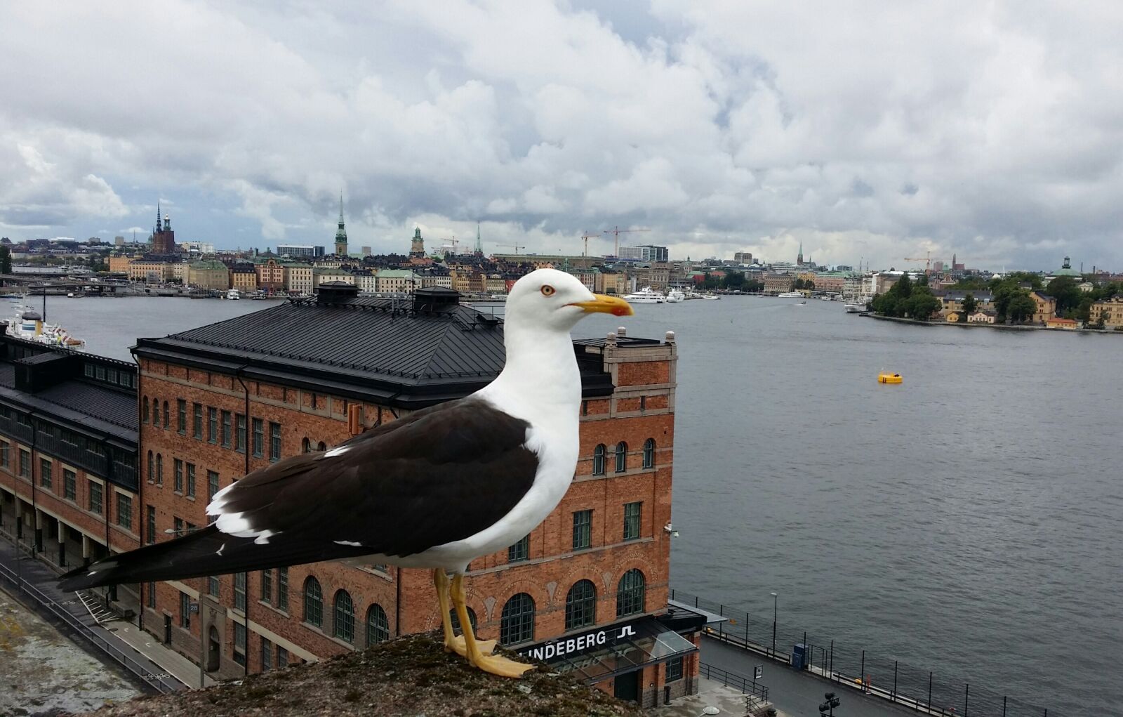 Samsung Galaxy S4 sample photo. Trut, stockholm, bird's eye photography