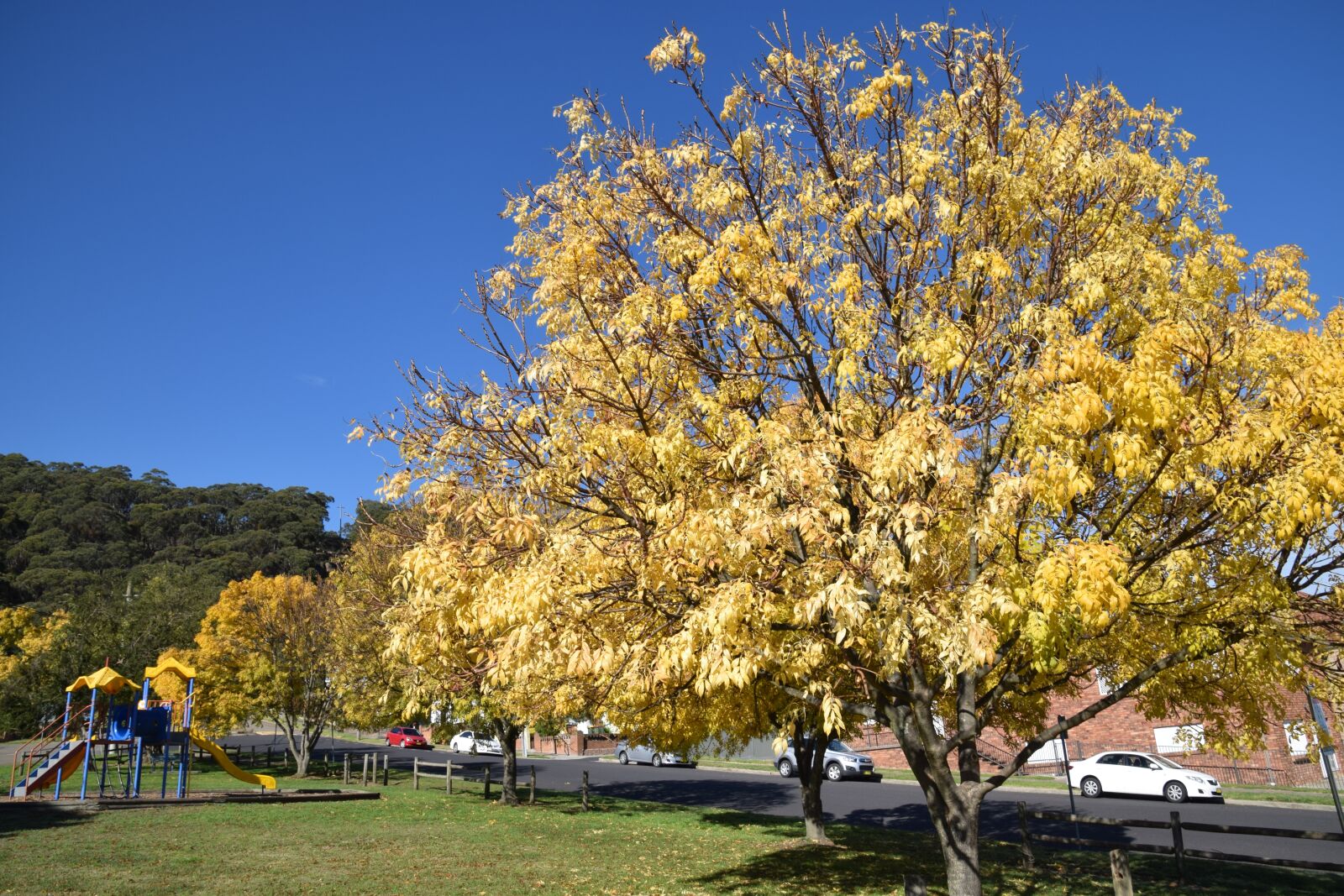 Nikon D5300 sample photo. Autumn, park, yellow photography