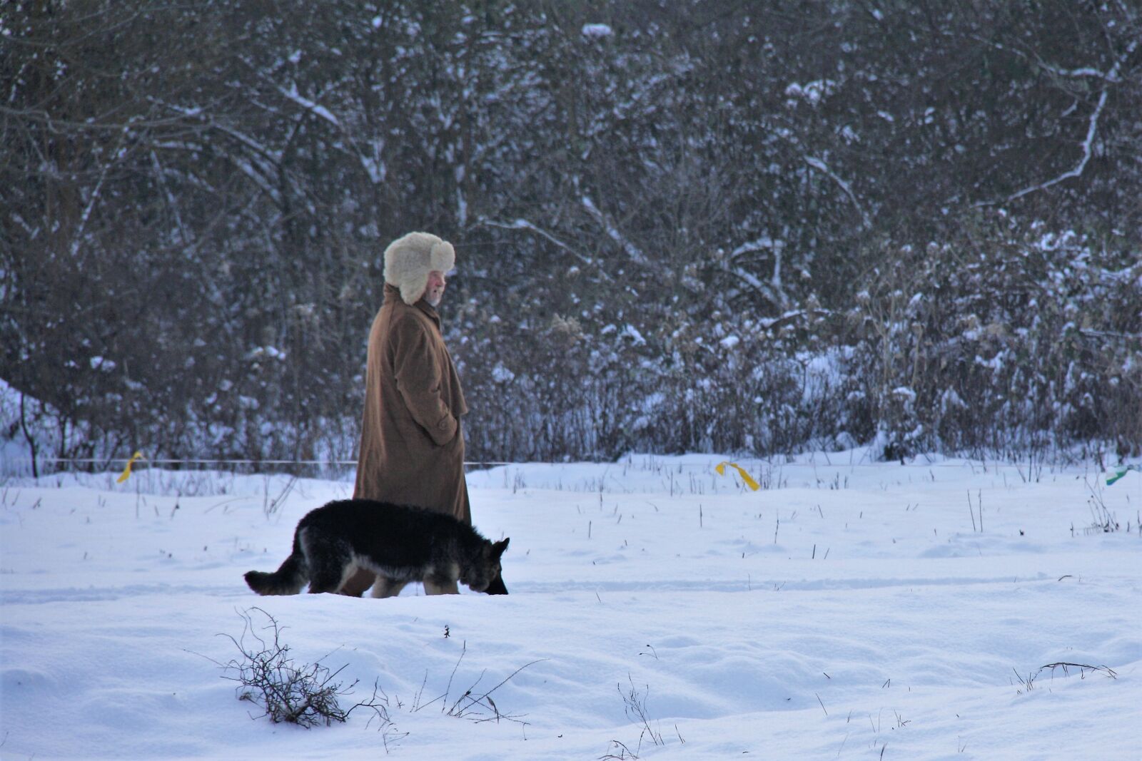 Canon EOS 1000D (EOS Digital Rebel XS / EOS Kiss F) sample photo. Winter, snow, cold photography
