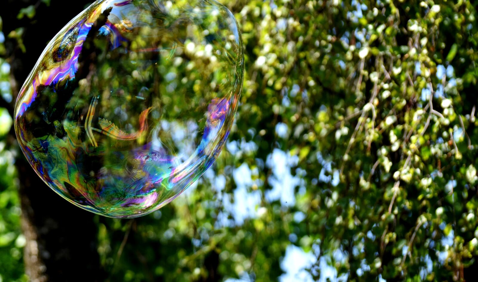 Nikon D7200 sample photo. Soap bubble, huge, large photography