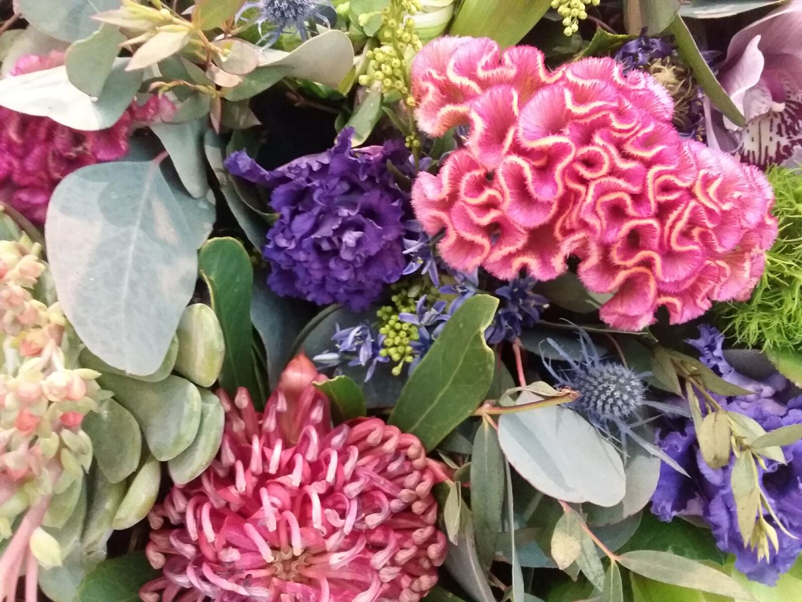 Samsung Galaxy J3(2016) sample photo