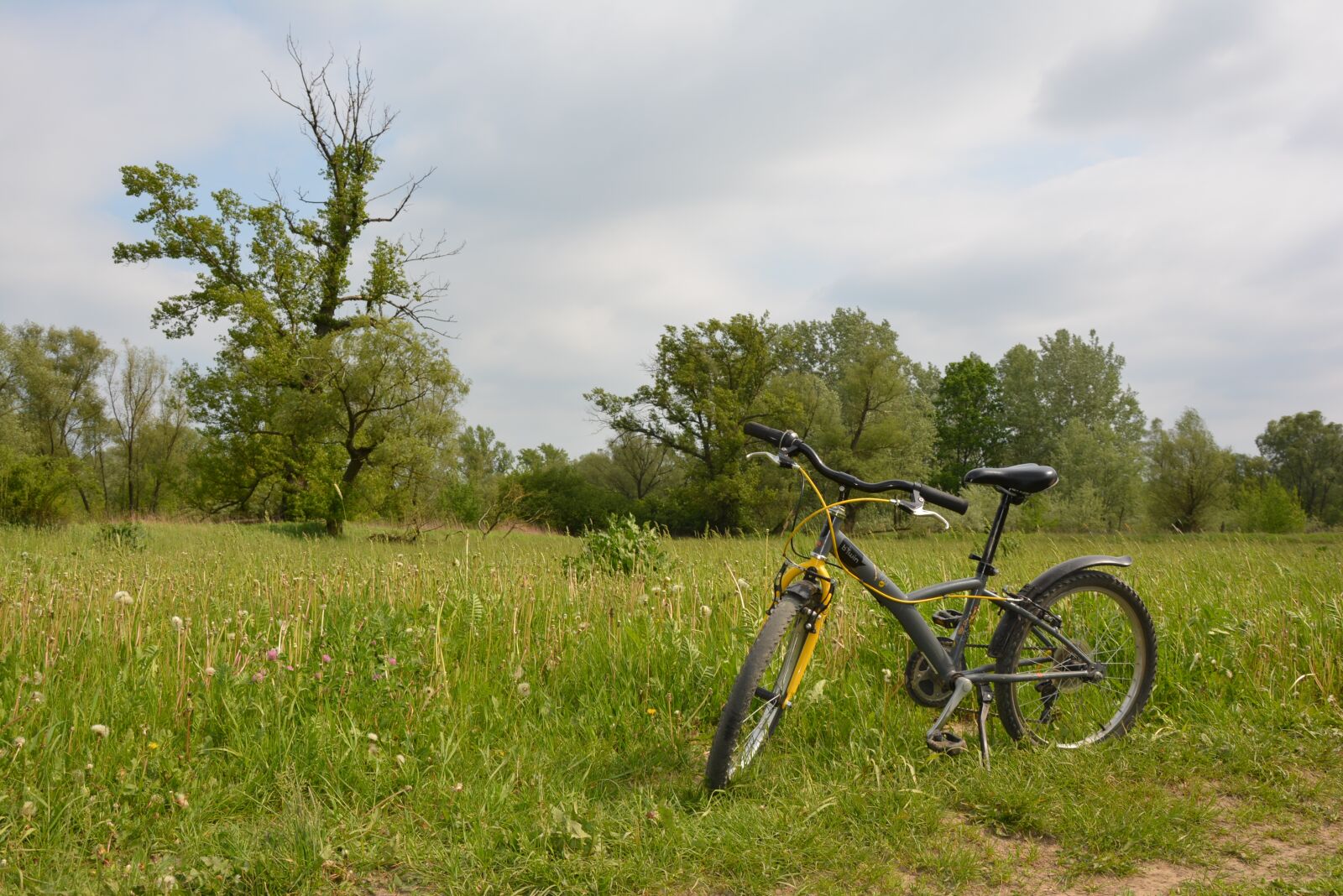 Nikon D5200 sample photo. Bike, by bike, bicycles photography
